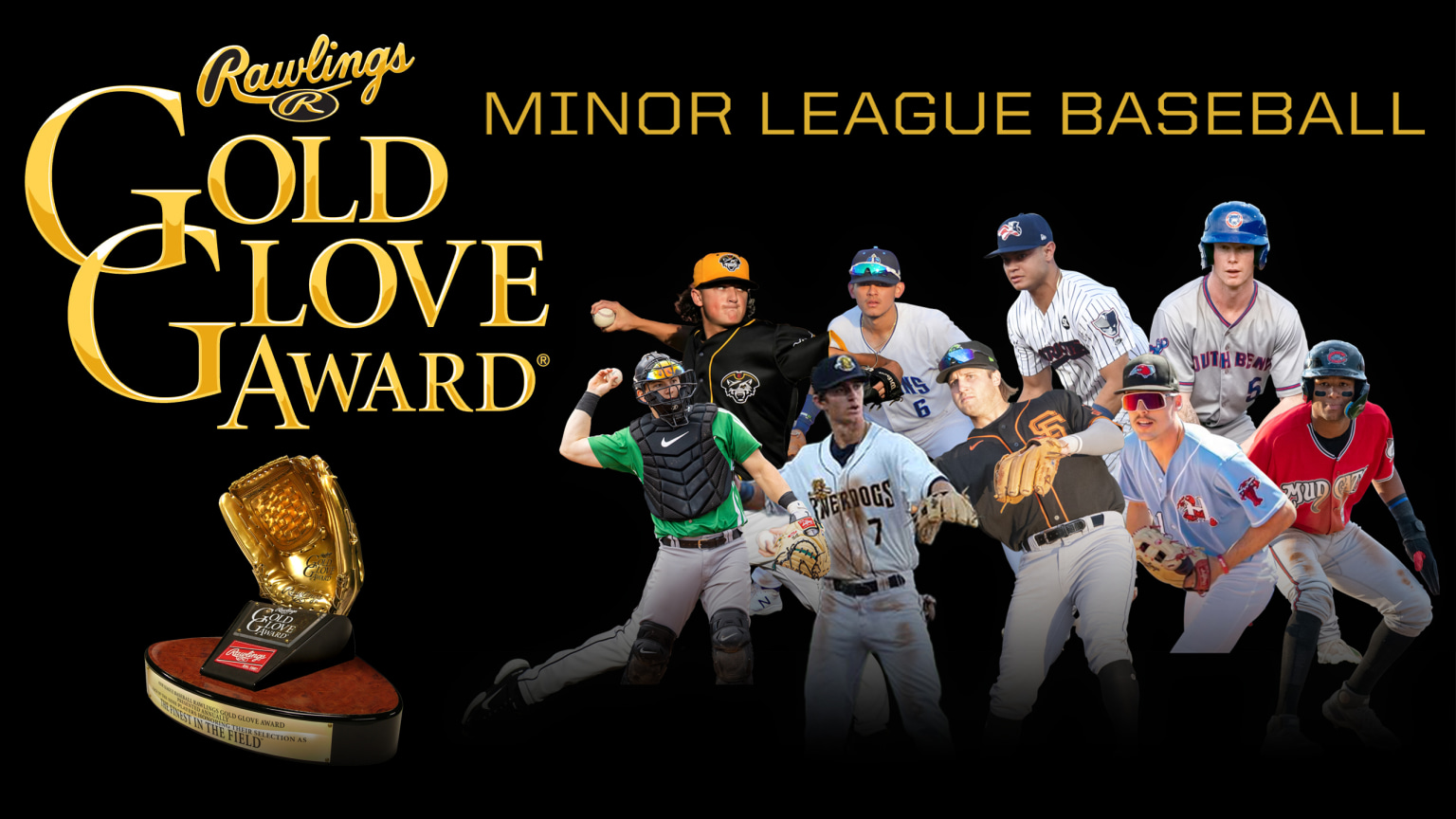 2022 Rawlings Gold Glove Award® winners 11/22/2022