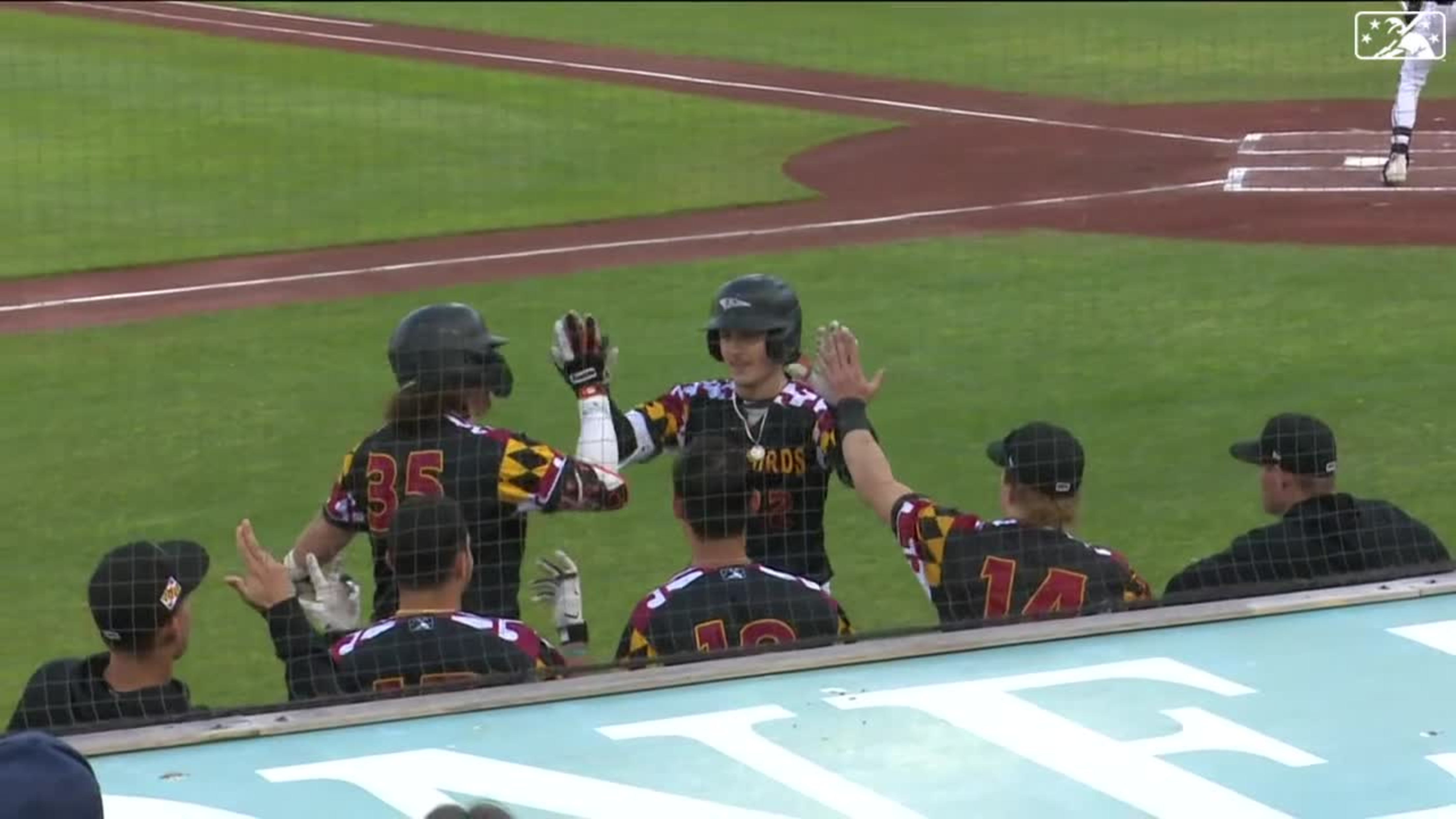 Carter Young Hits First Career Homer - Delmarva Shorebirds