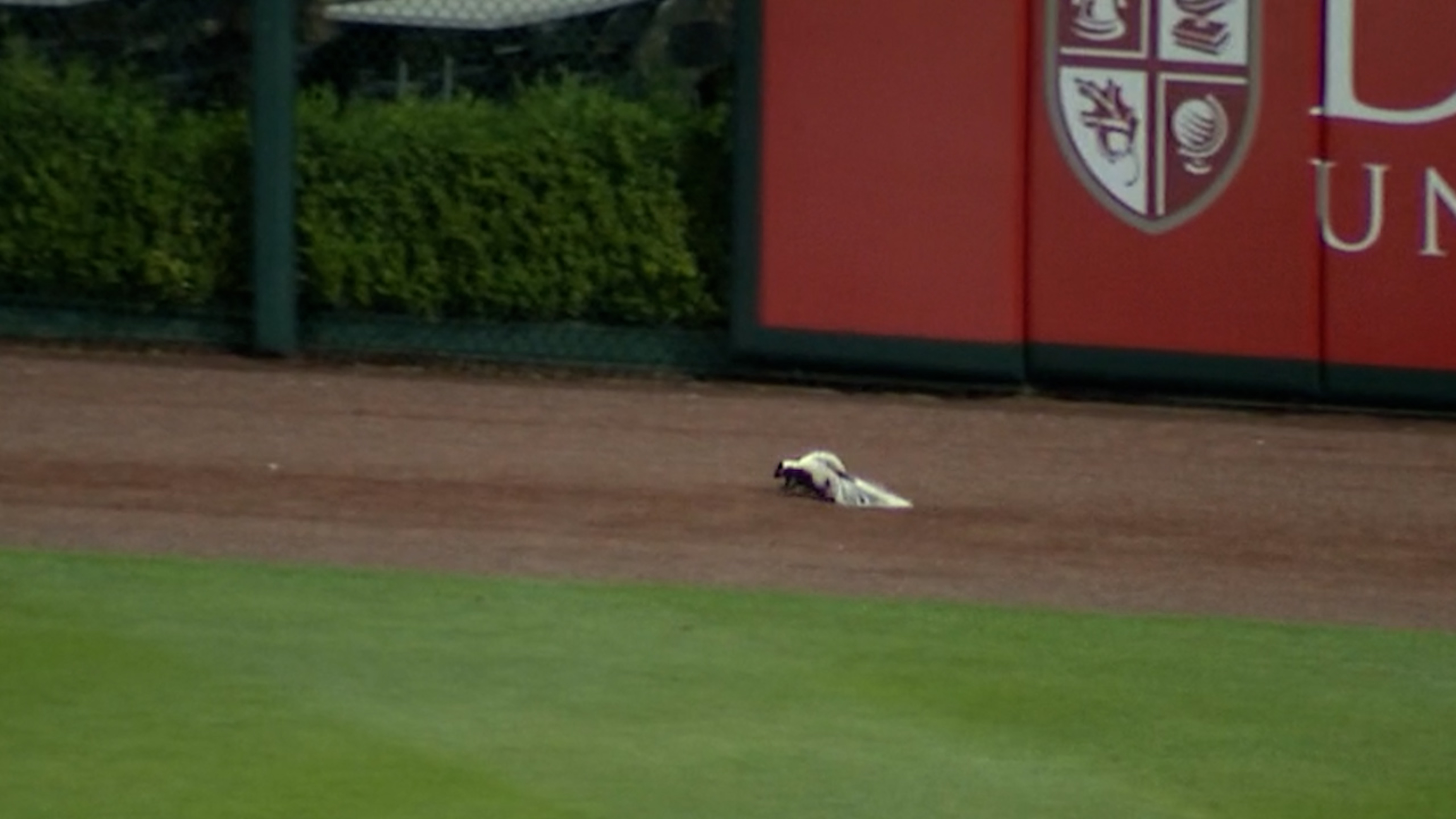 Springfield Cardinals getting jazzed up for Saturday's game