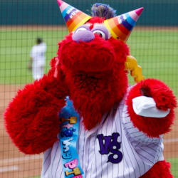 Bolt's Sweet Sixteen Birthday