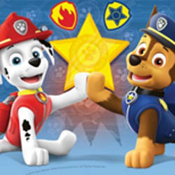 Paw Patrol Night