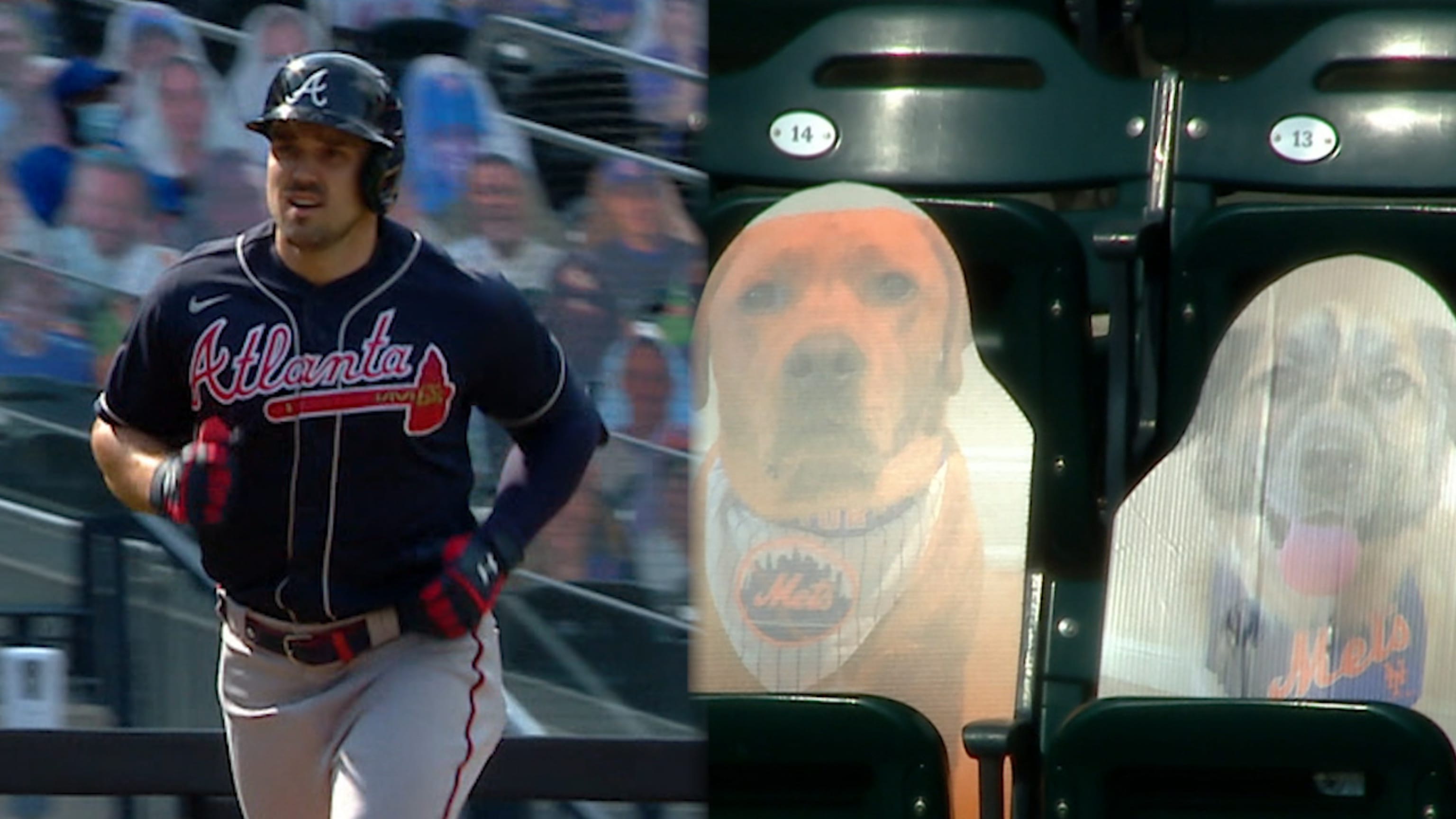 Dog Baseball Games 2022