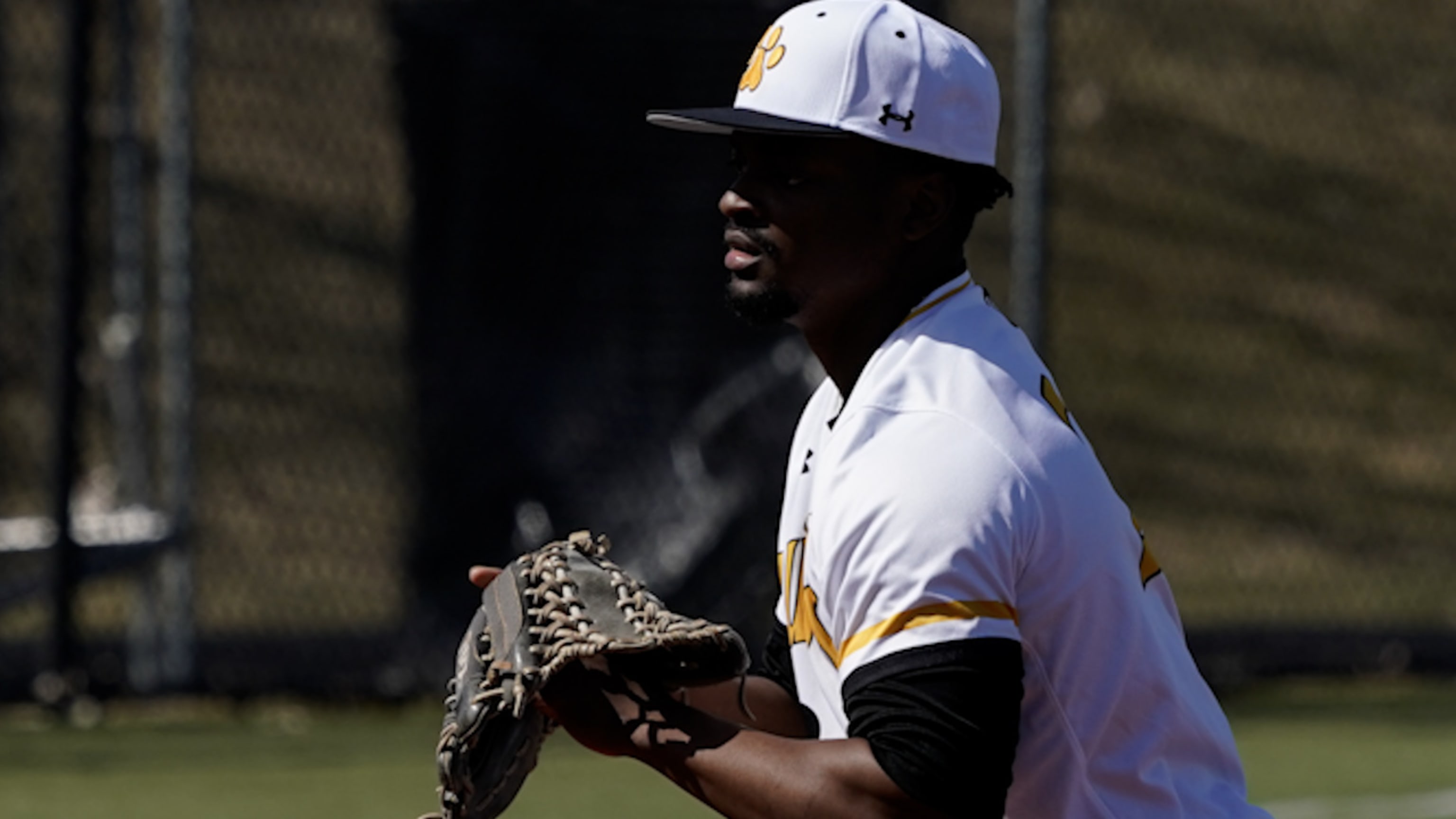 A look at how Adrian College baseball players are doing in the minors