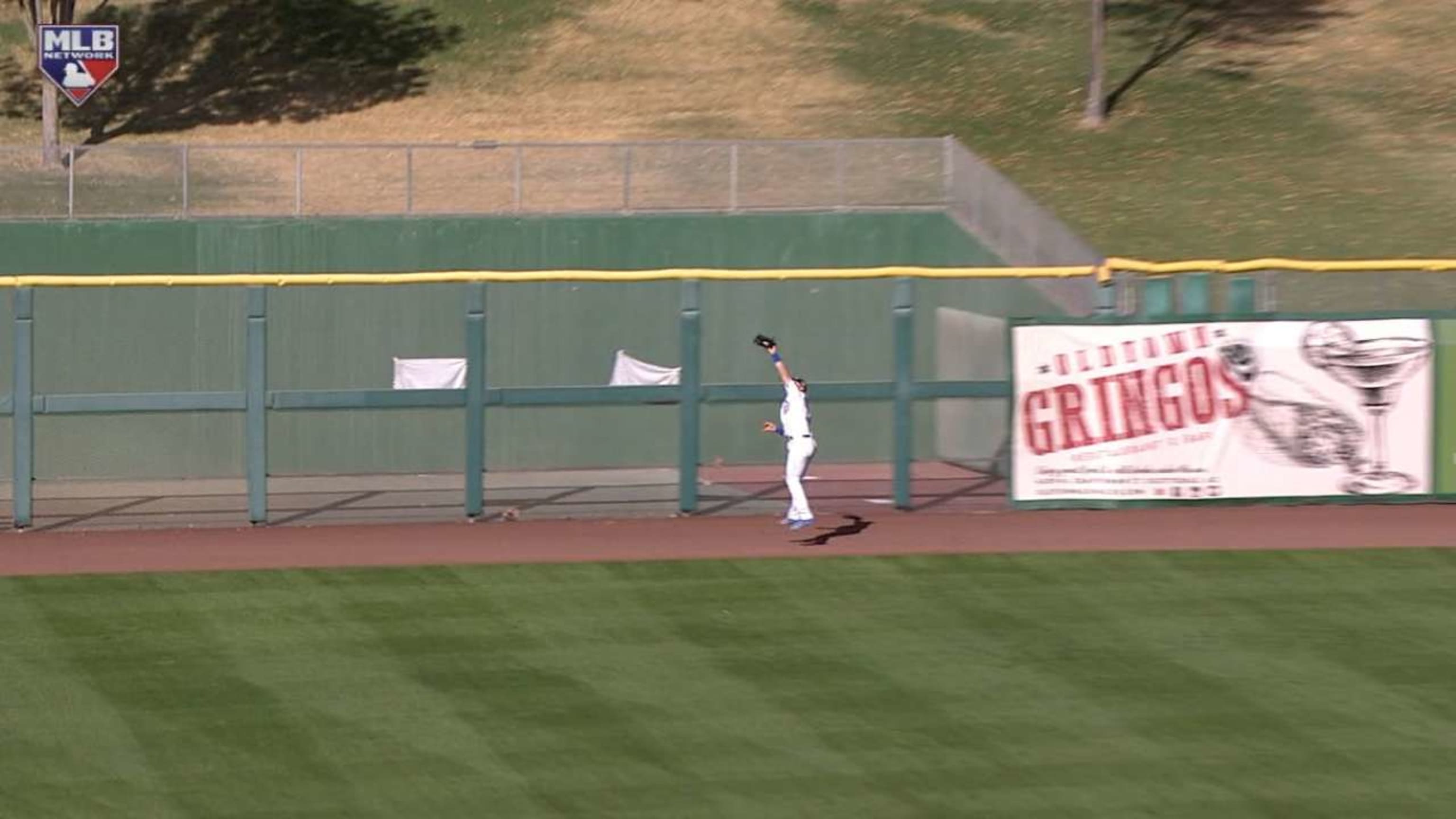 Happ's leaping catch