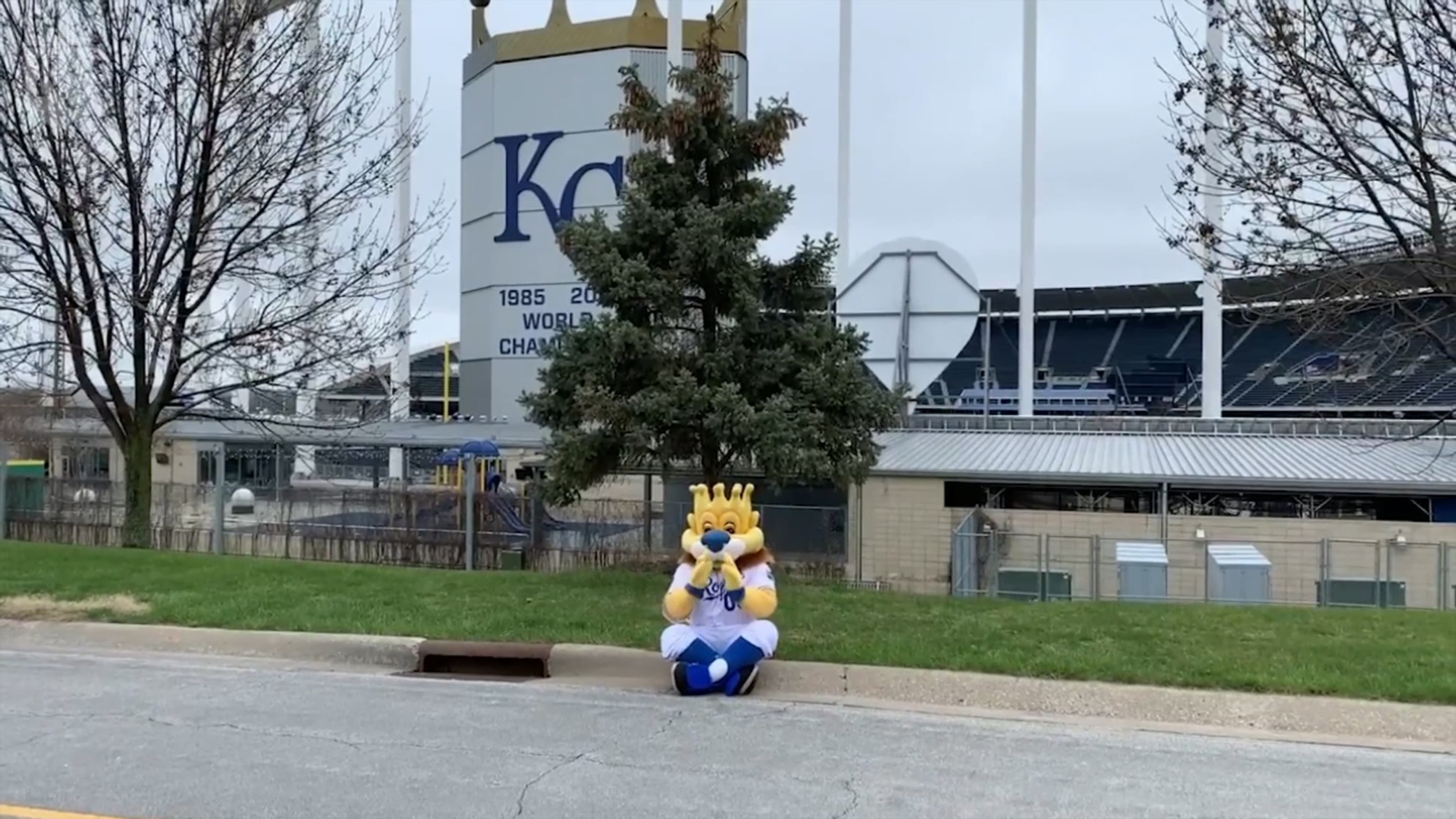 Kansas City Royals, Mascot Statue