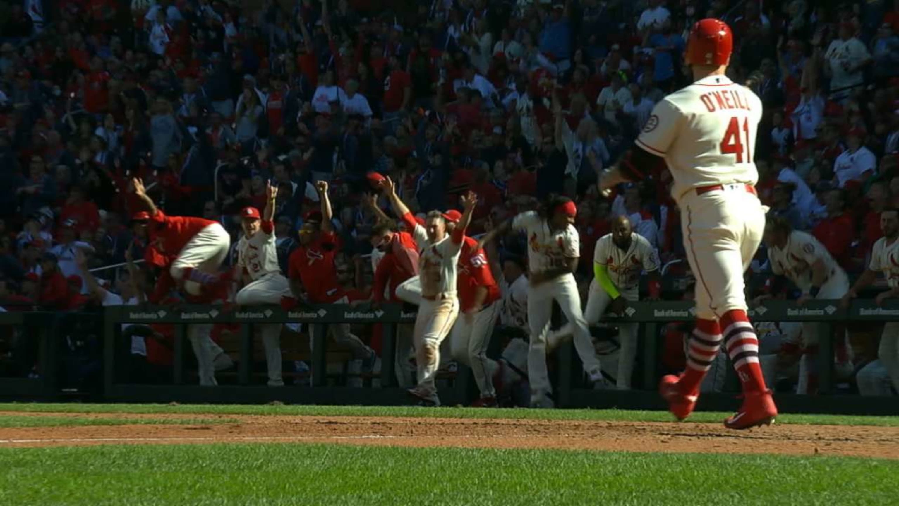 Cardinals celebrate O'Neill's walk-off HR by ripping shirt off his back