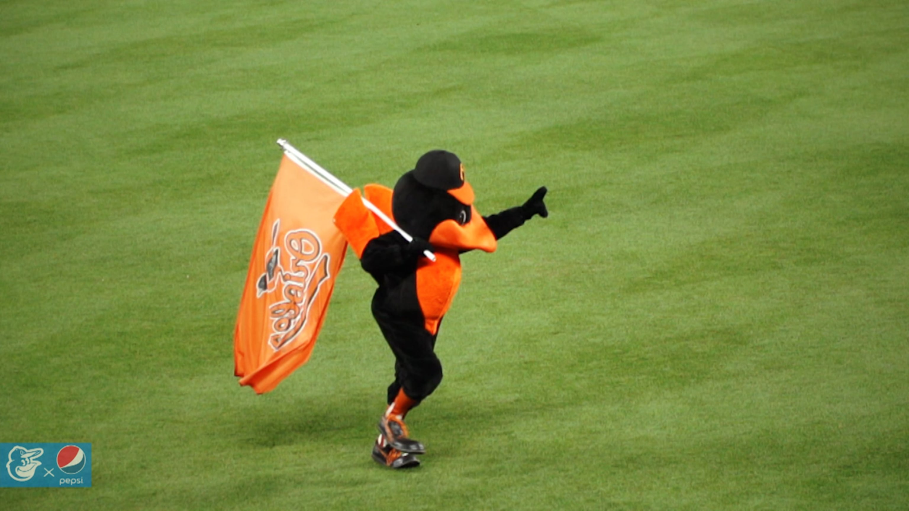 The Oriole Bird Baltimore Orioles 2023 City Connect Mascot