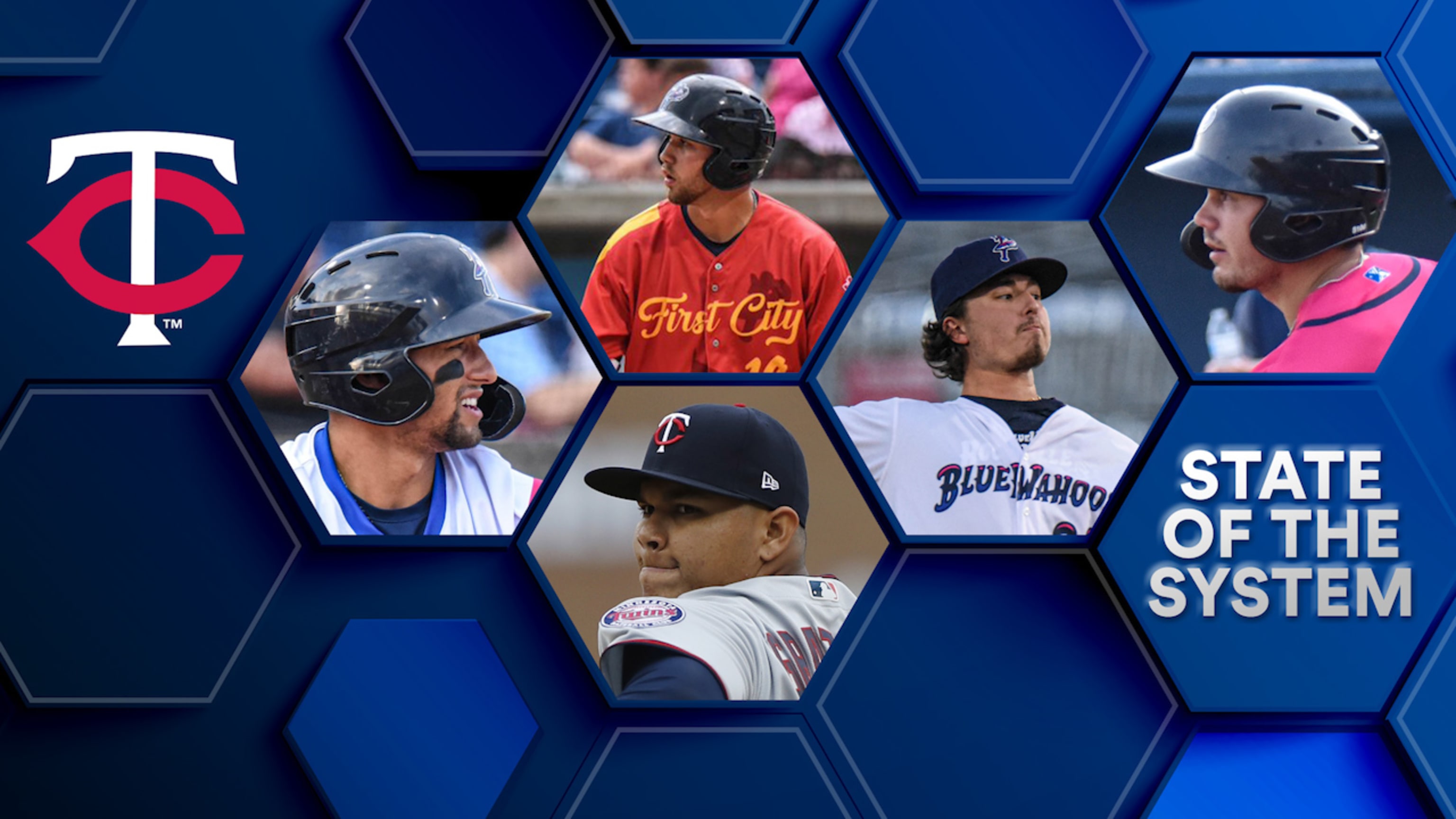 minnesota twins team store