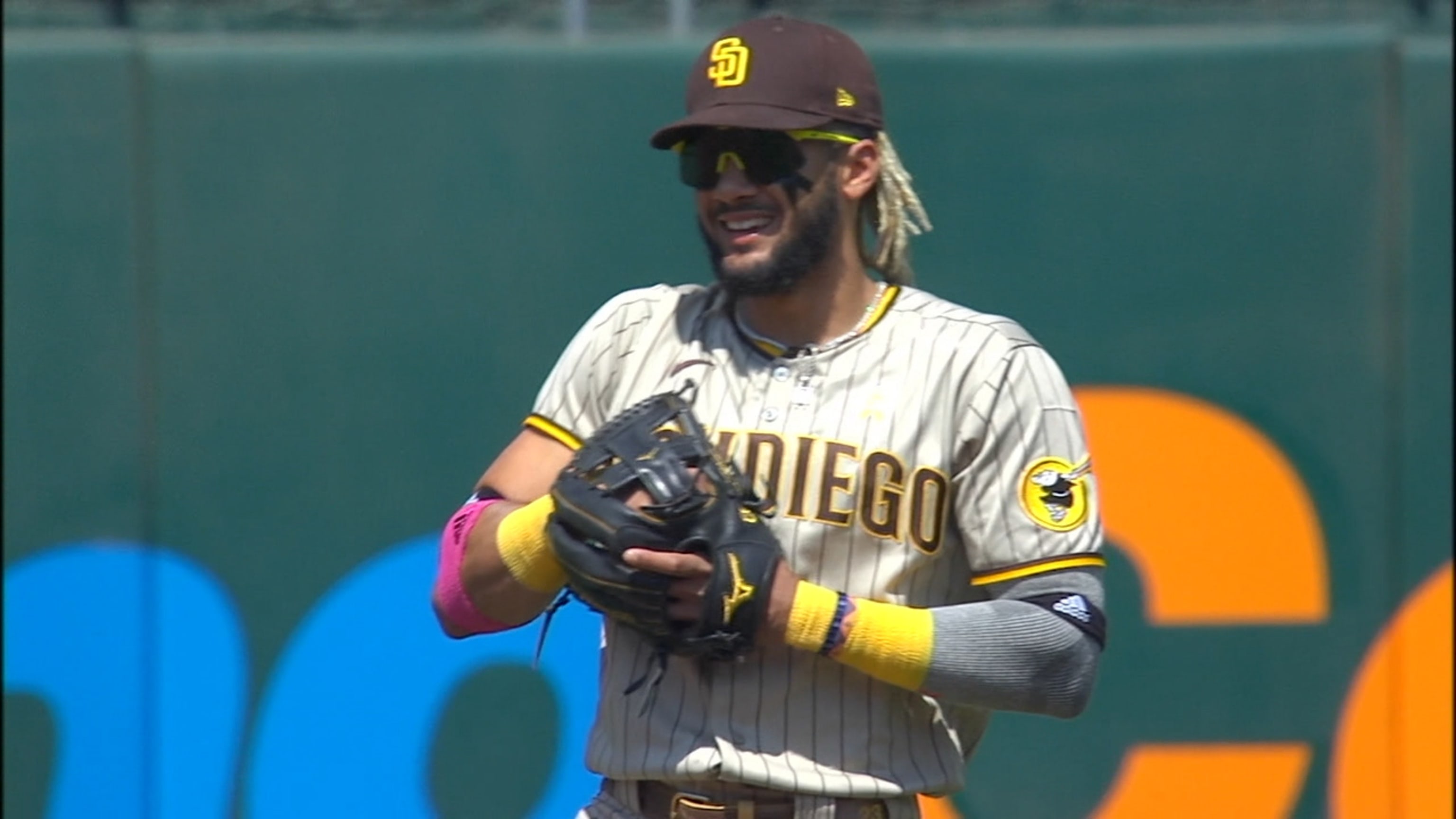 fernando tatis glove