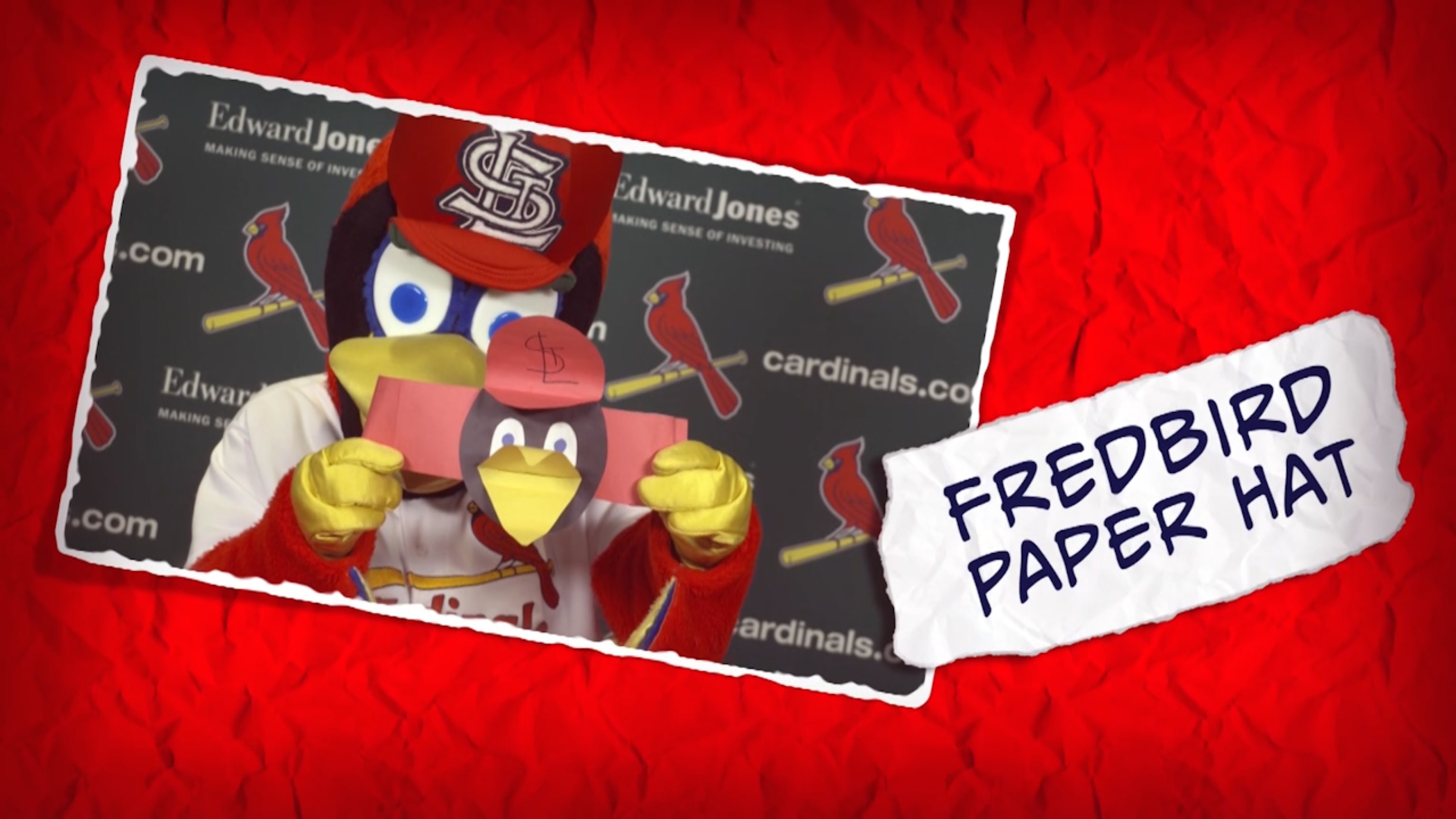 Fredbird Activities  St. Louis Cardinals