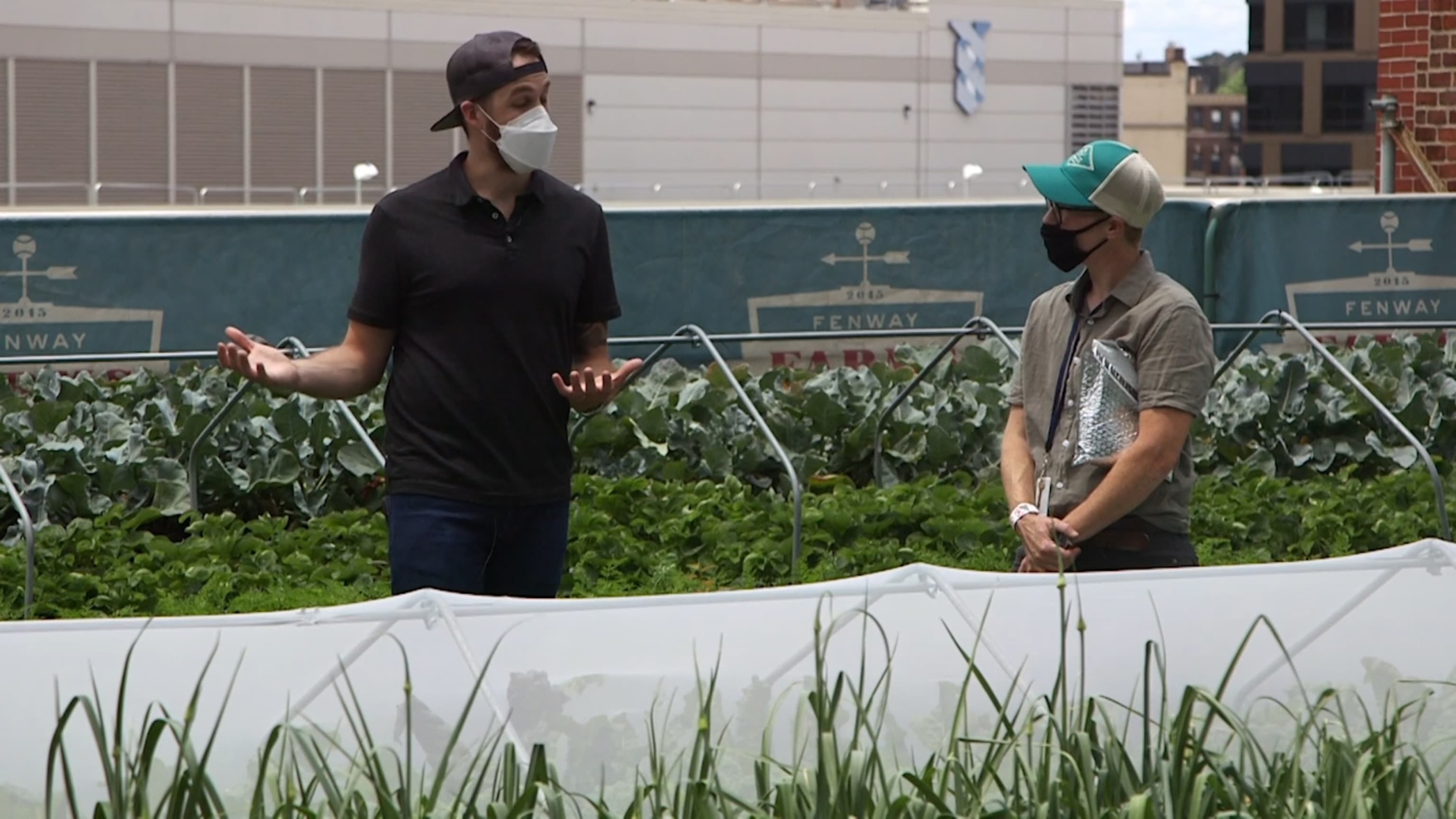 Fenway Farms: On the roof of an iconic sports venue, this urban farm in  Boston can grow 6,000 pounds of produce a year