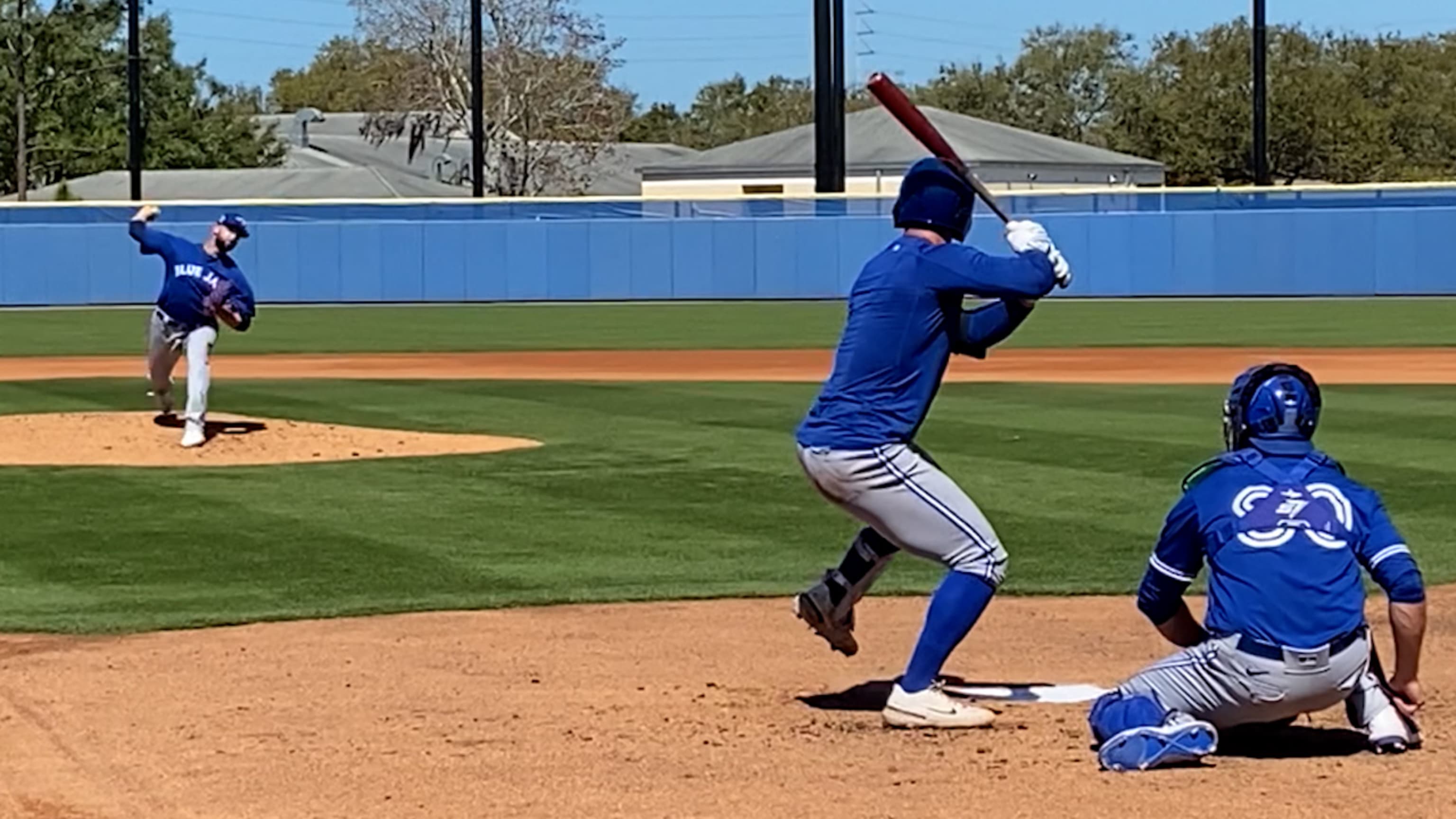 Going to a Blue Jays Spring Training game. – My Memory List