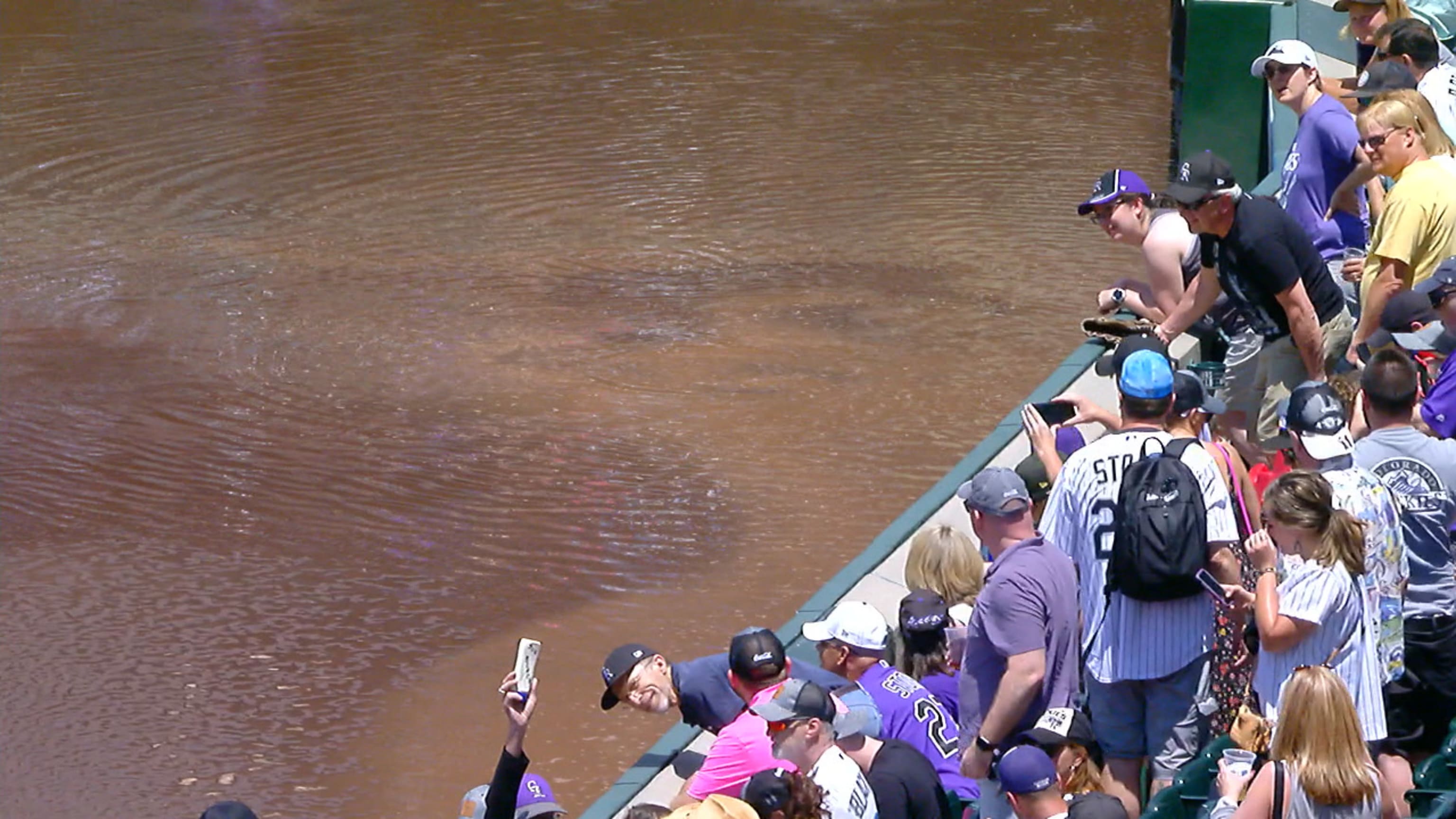 Dodger Stadium Broken Pipe Floods Field with Sewage During Game