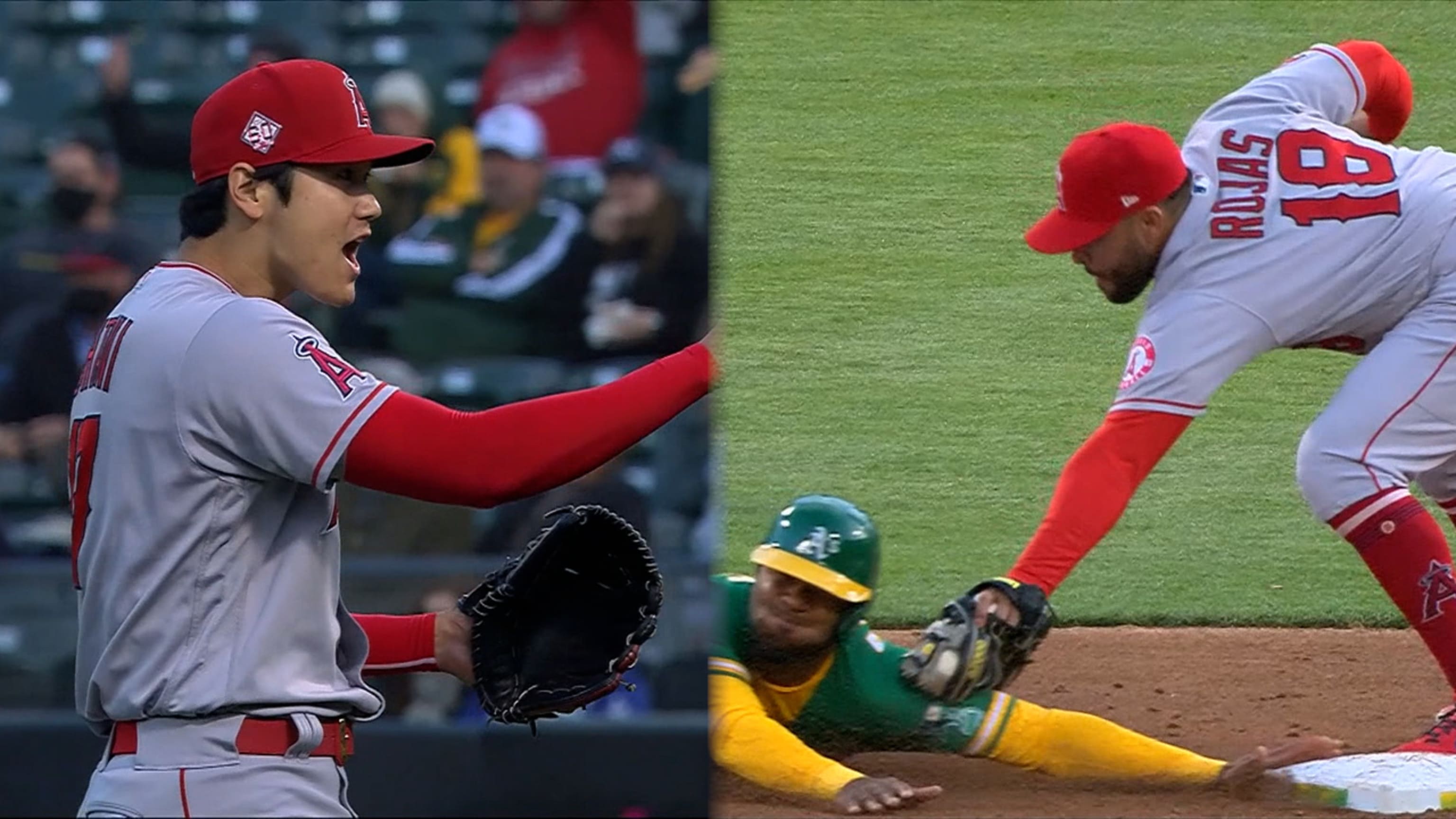 Did Mark Canha really think Ohtani did that on purpose? 😭💀 #mlb #bas, shohei ohtani