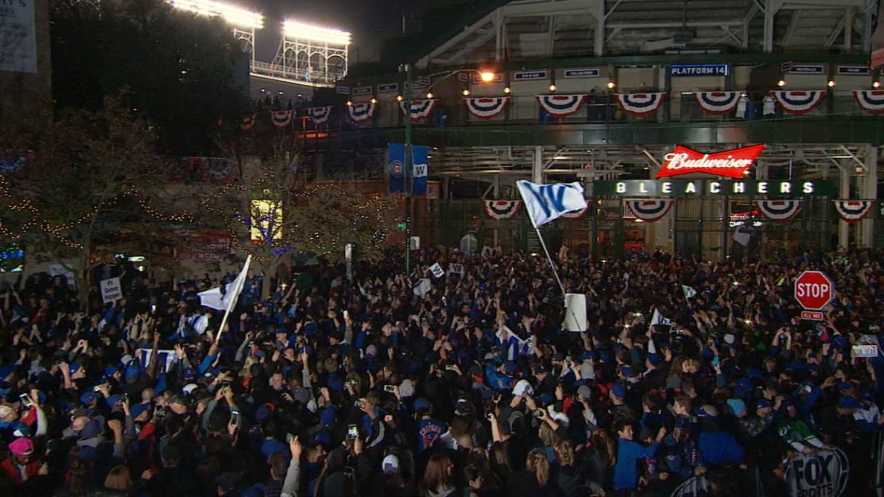 Celebrity fans celebrate the Cubs' long-awaited World Series win