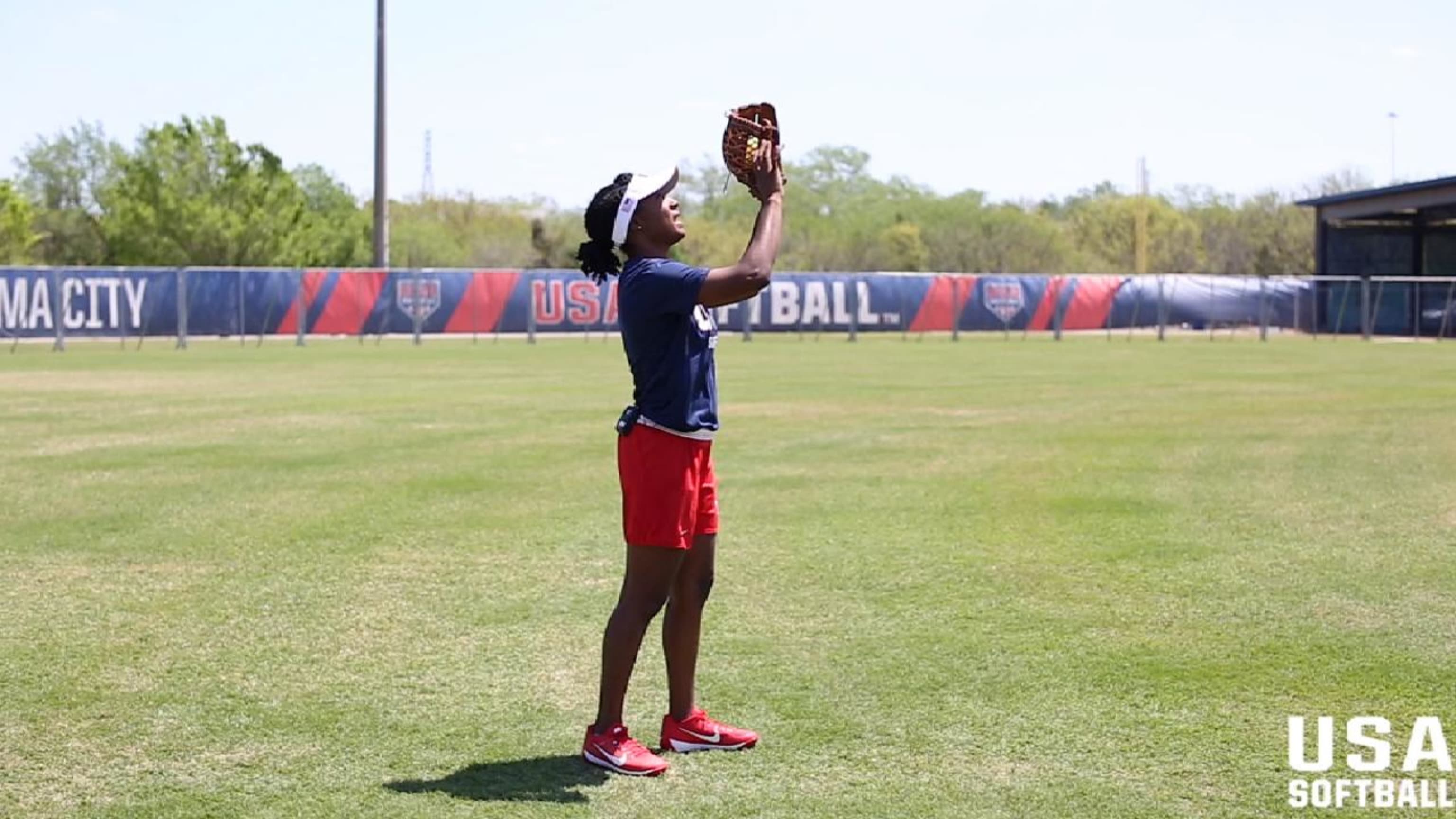 Beginner fly balls
