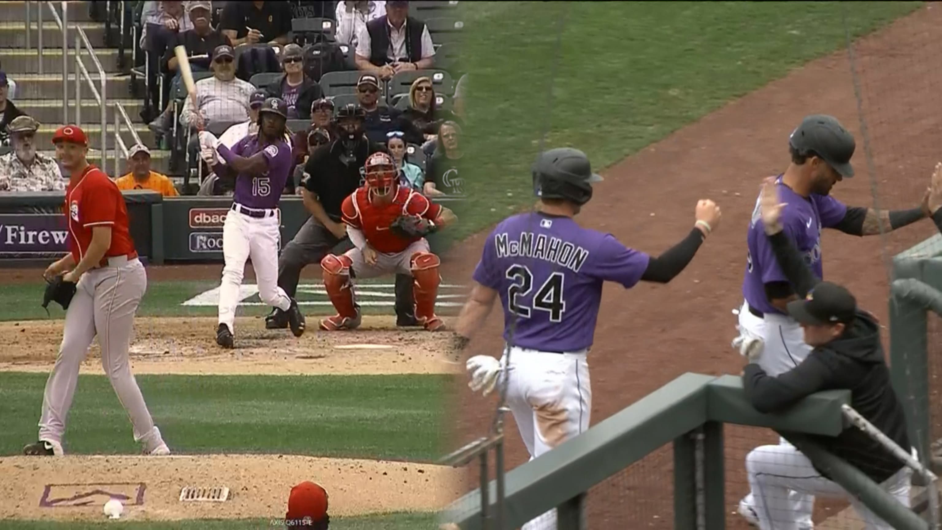 Family, food and his beloved animals helped Colorado Rockies' Raimel Tapia  turn season around, Sports