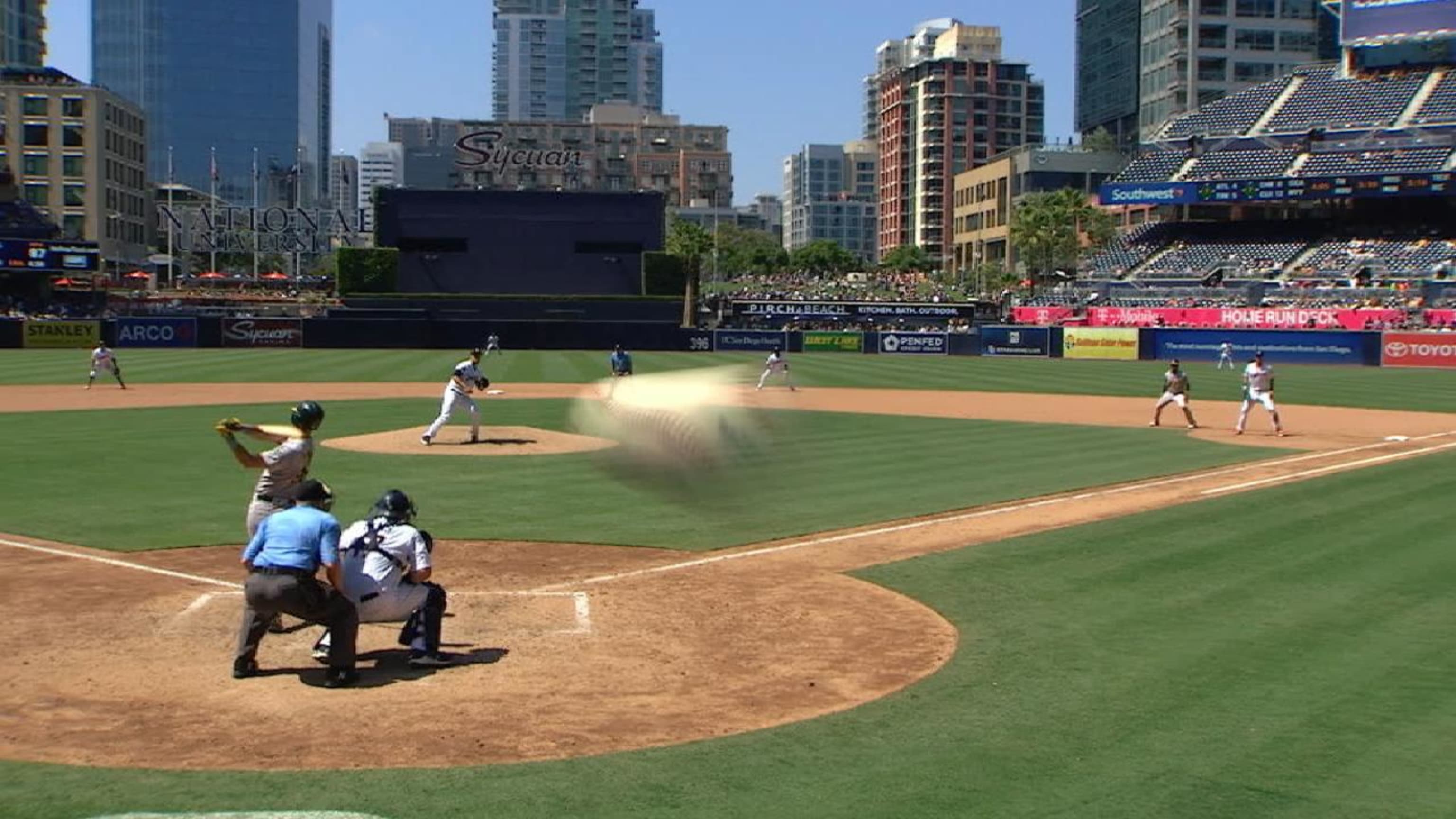 Petco camera clearance