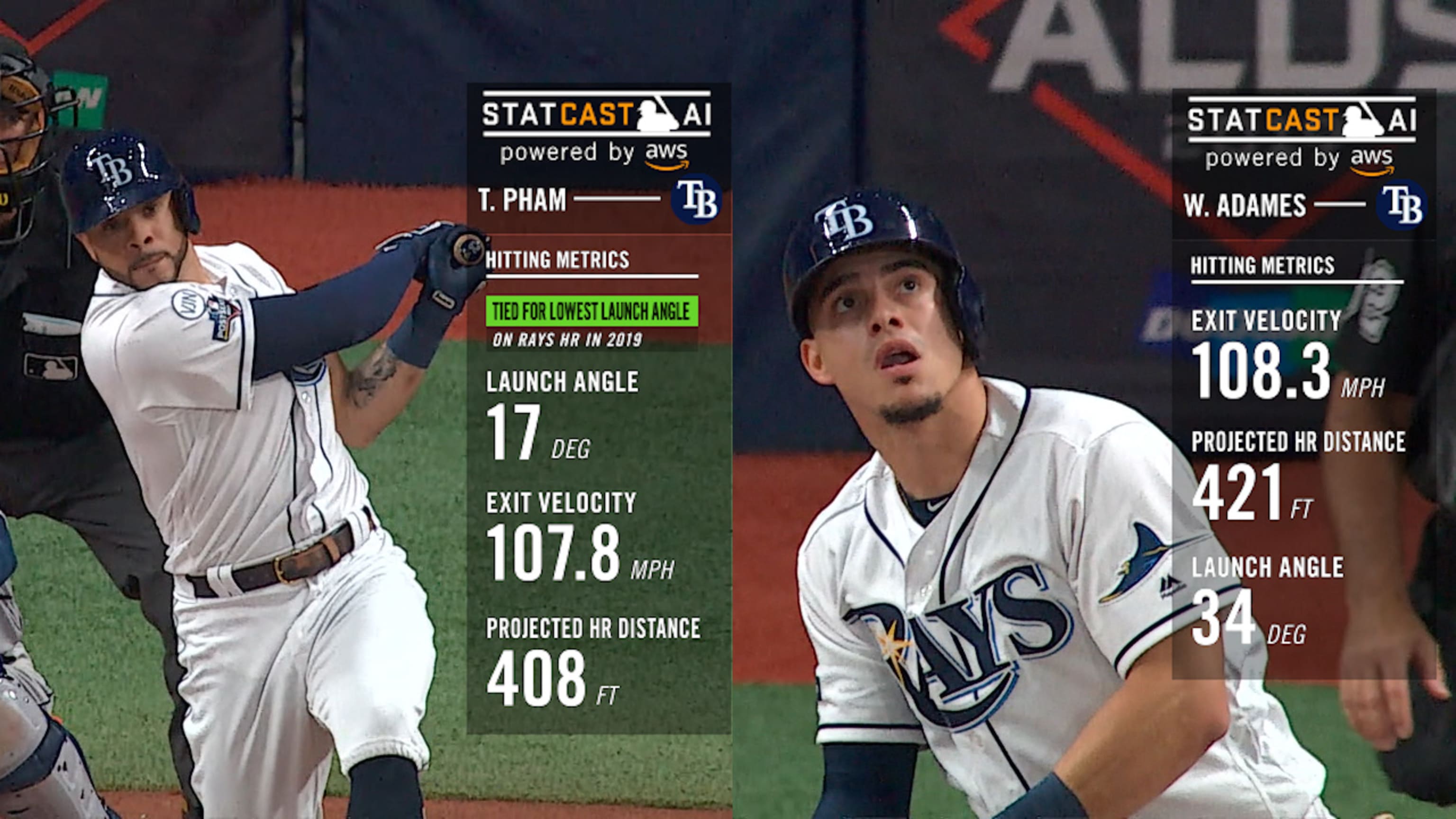 Tampa Bay Rays, Profile & Projection