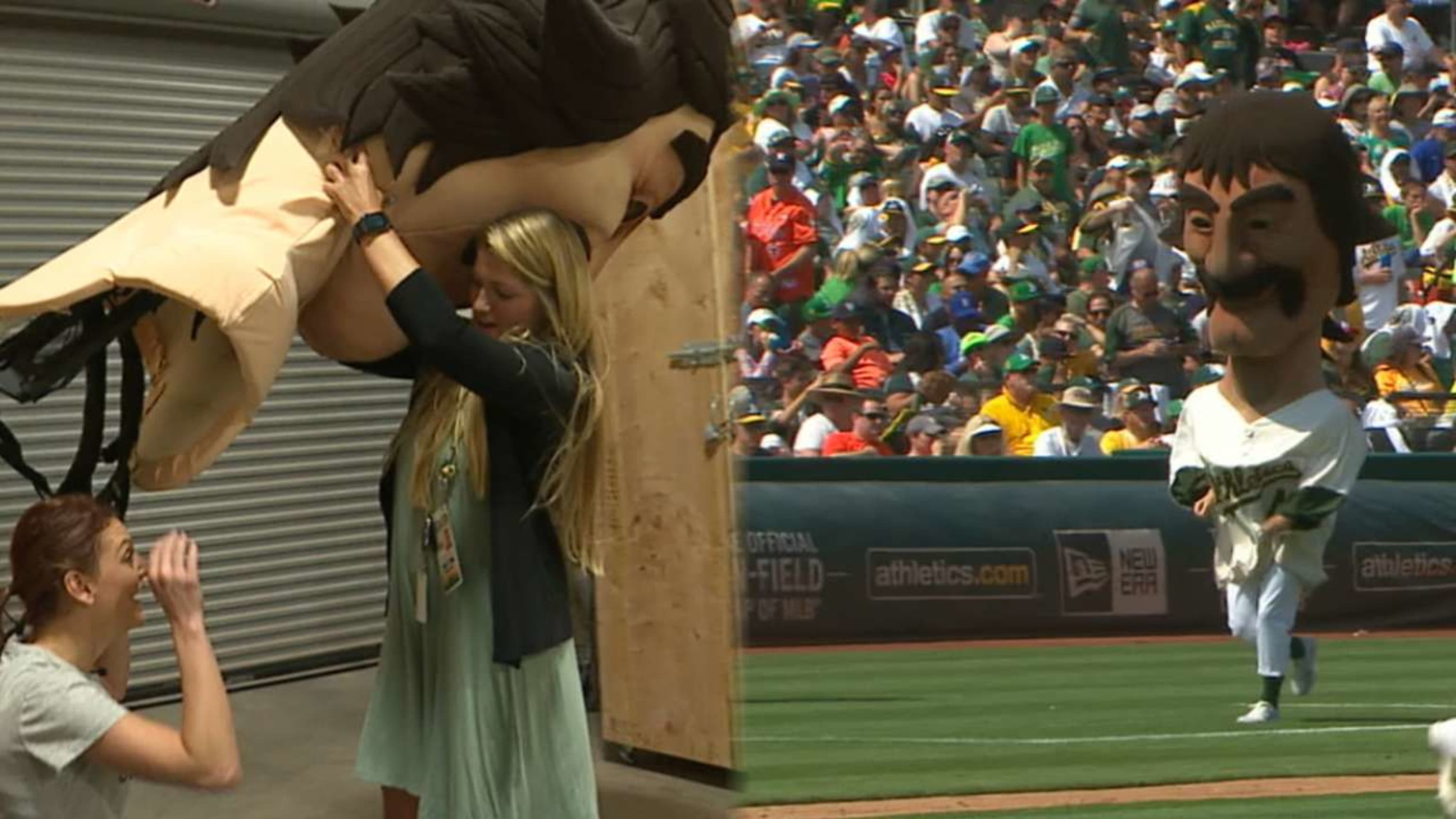 Astros reporter Julia Morales ran the A's mascot race in an oversized  Dennis Eckersley costume