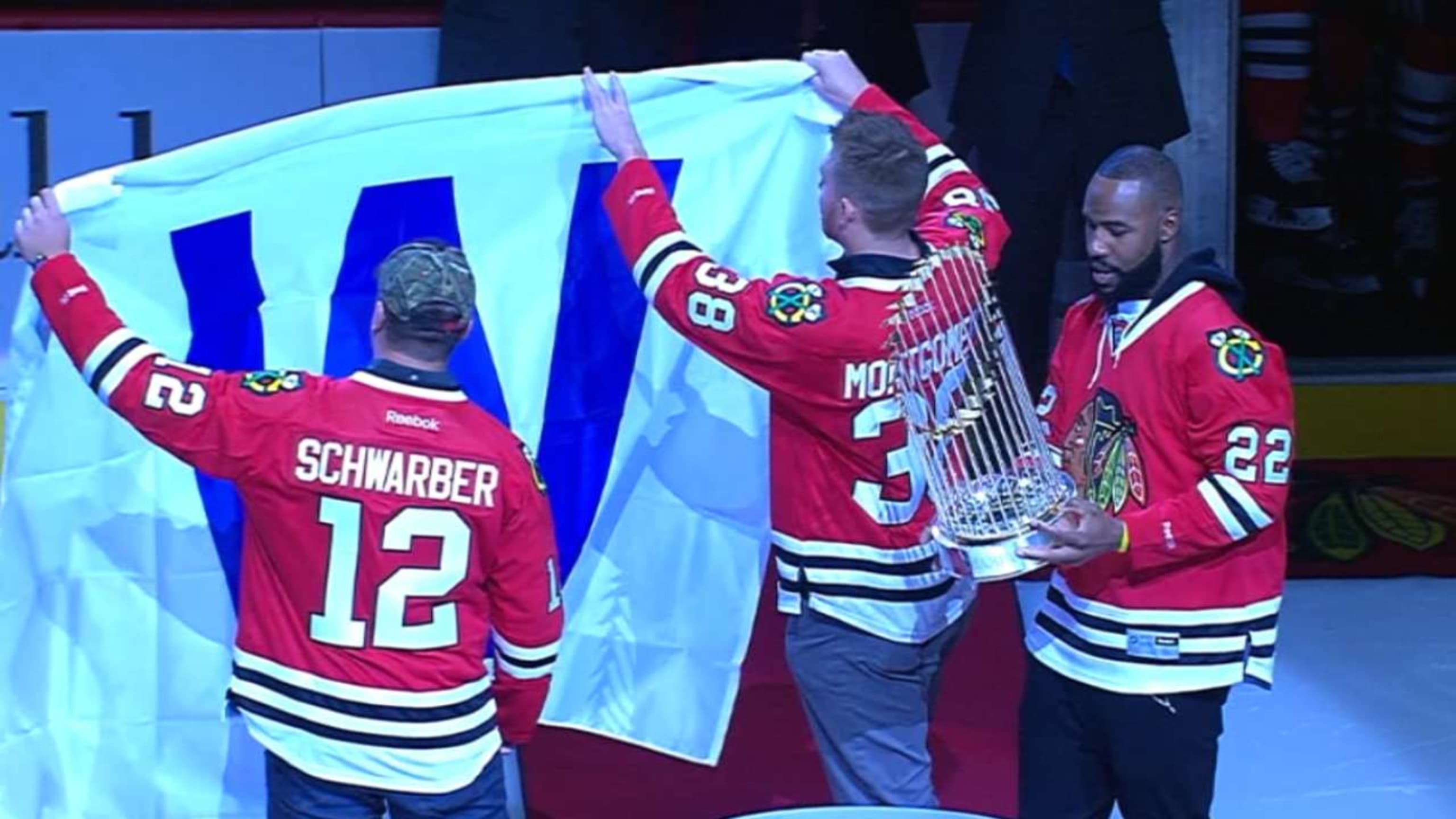 The Cubs and their World Series trophy were guests of honor at a Blackhawks  game