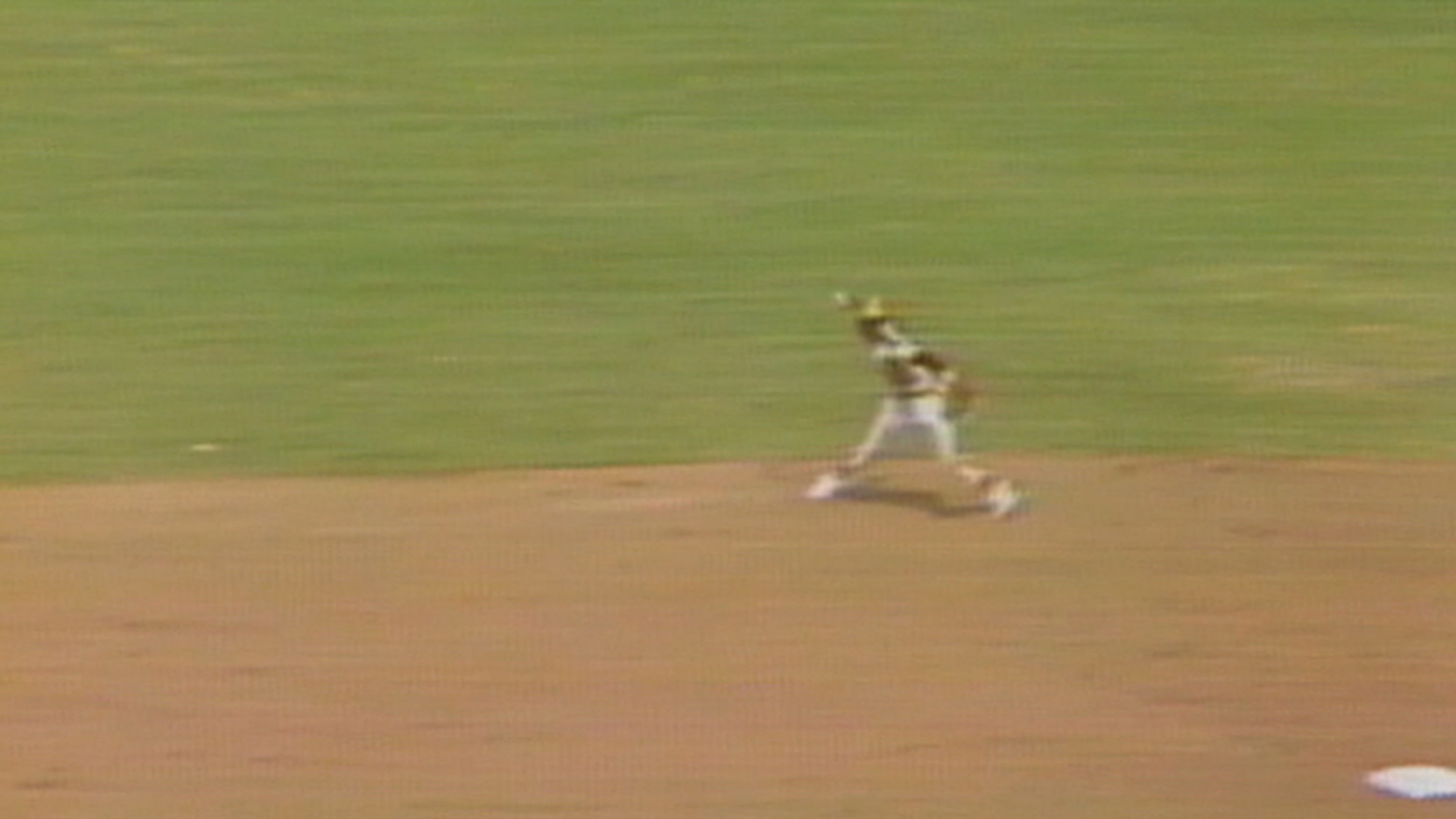 Ozzie Smith's barehanded play