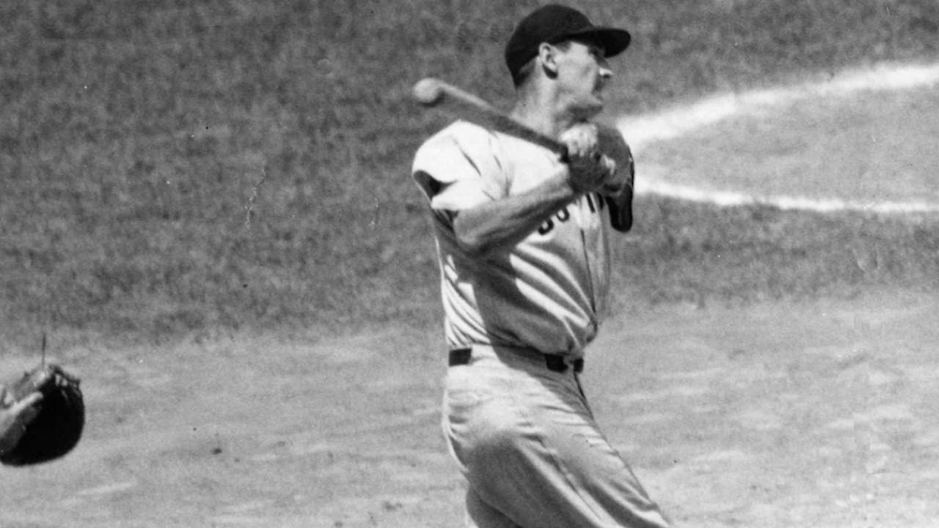 Ted Williams Facts