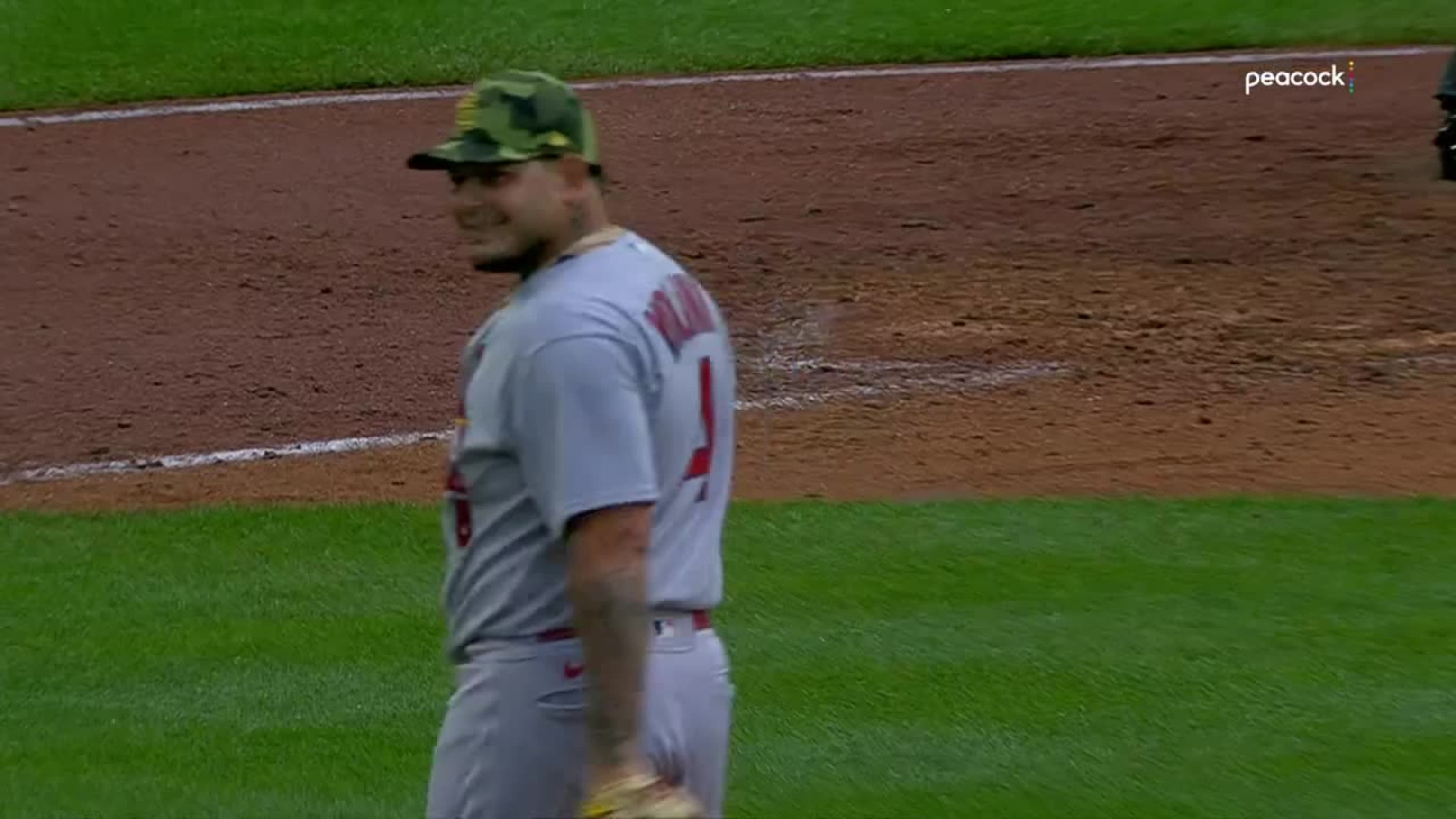 Molina sella victoria