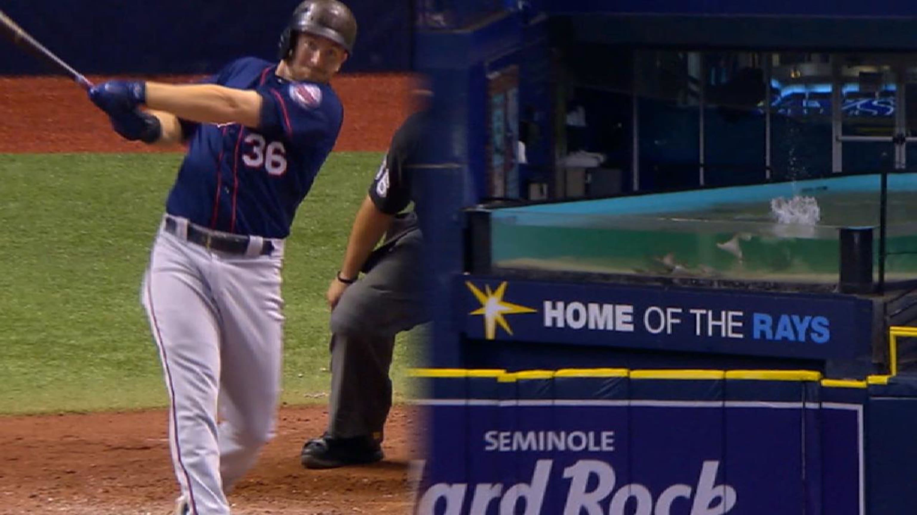 Robbie Grossman crushed a homer that splash-landed in the Rays' Touch Tank  at Tropicana Field