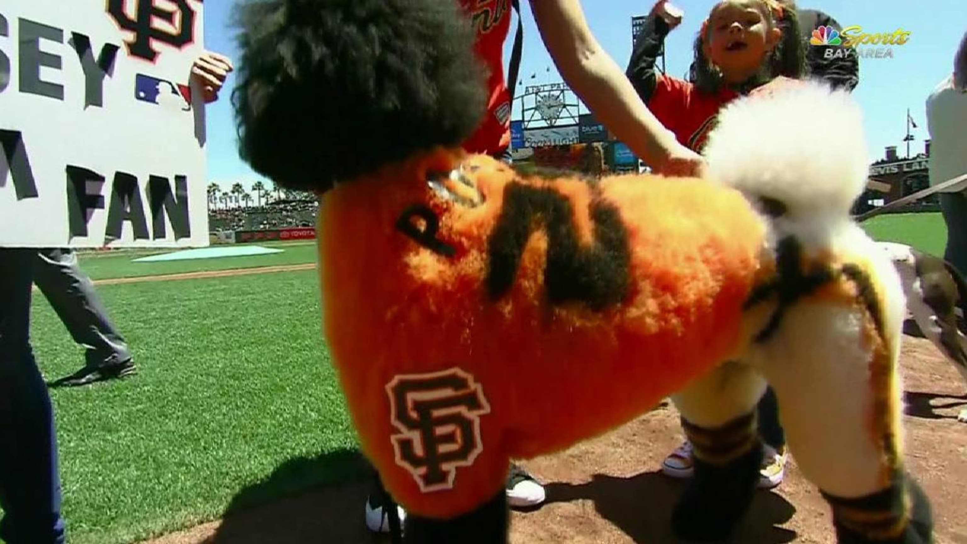 Cut4 on X: The @SFGiants held a dog costume contest, and ballpark