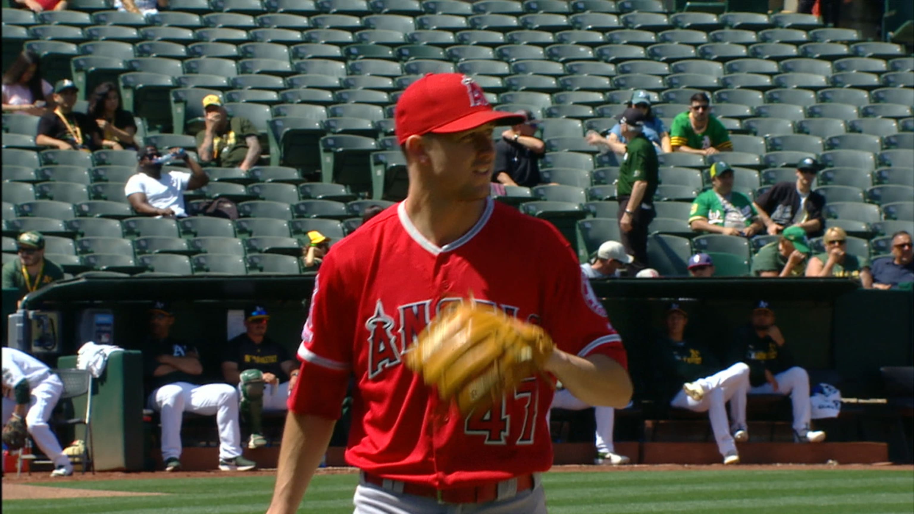 Canning poncha 5 en 6 entradas