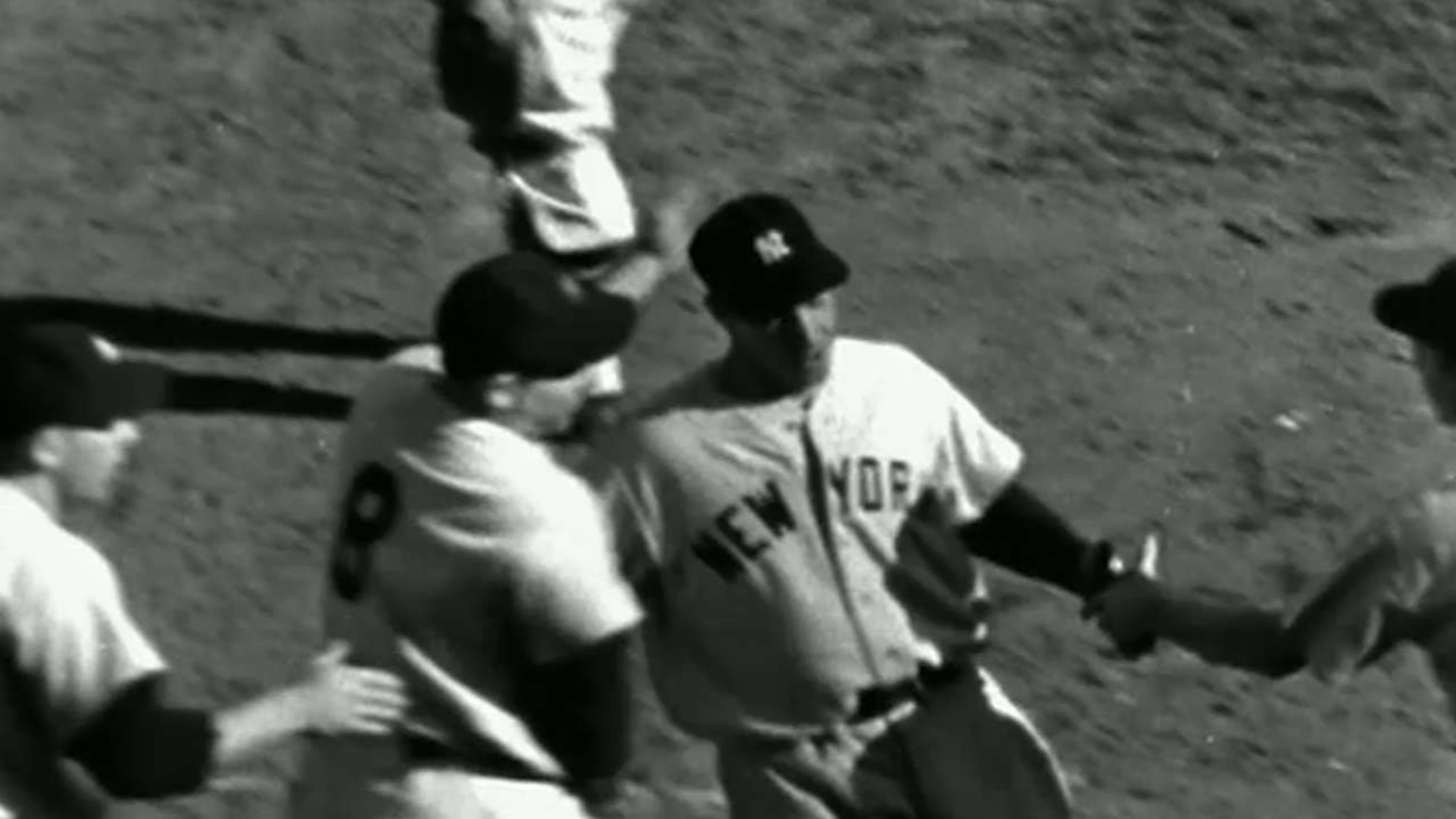 Vuelacercas de dos rayas de DiMaggio