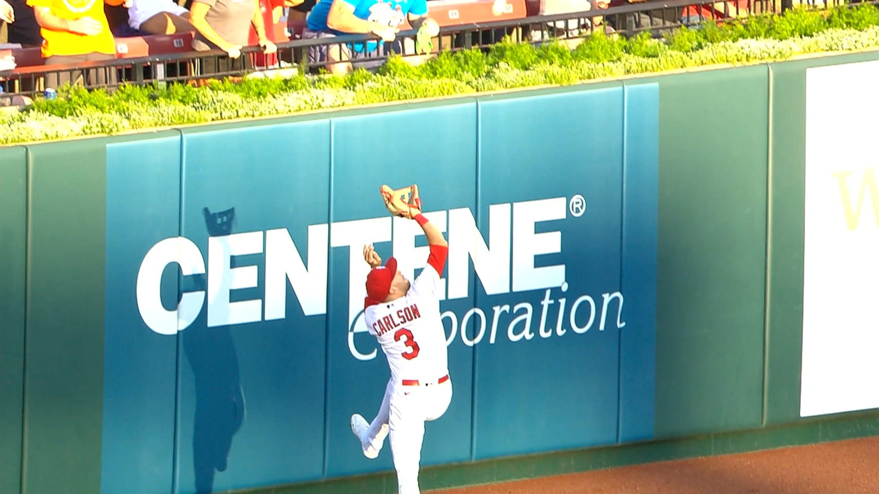 Gran atrapada de Dylan Carlson