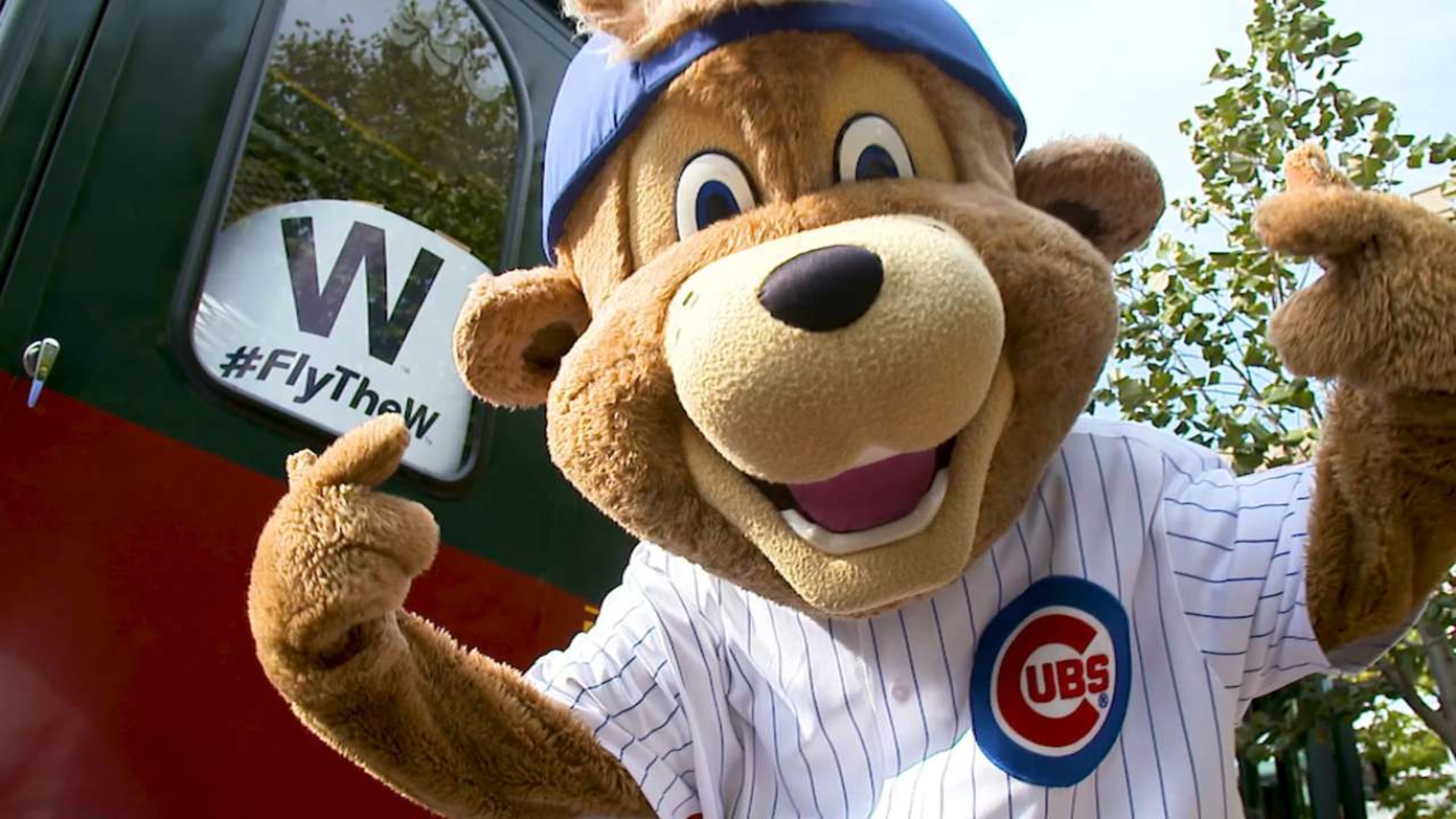 Chicago Cubs now have an official mascot, Clark : r/baseball