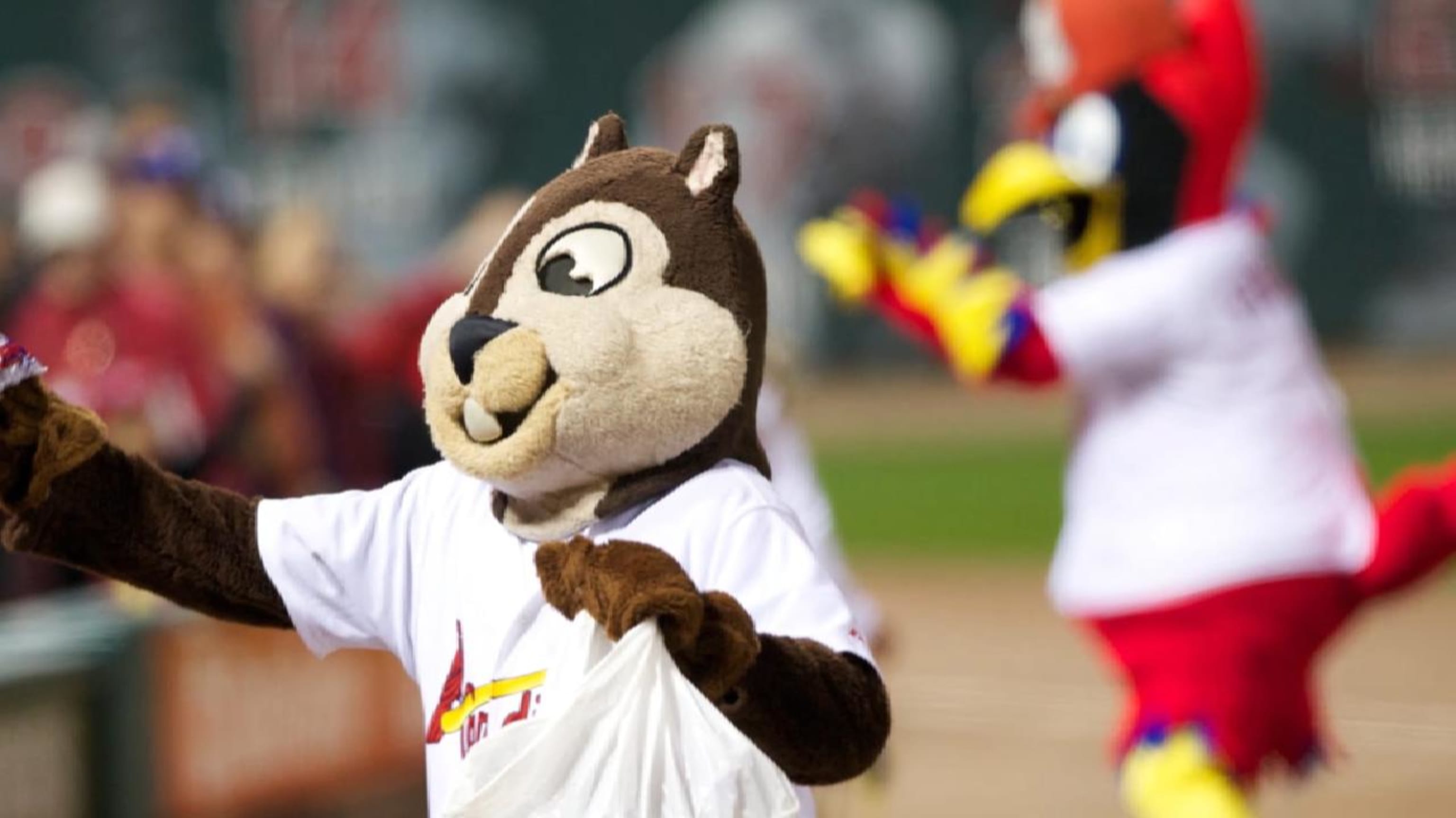 Who Will Rally for the Rally Monkey?, The Mascots' Tribune