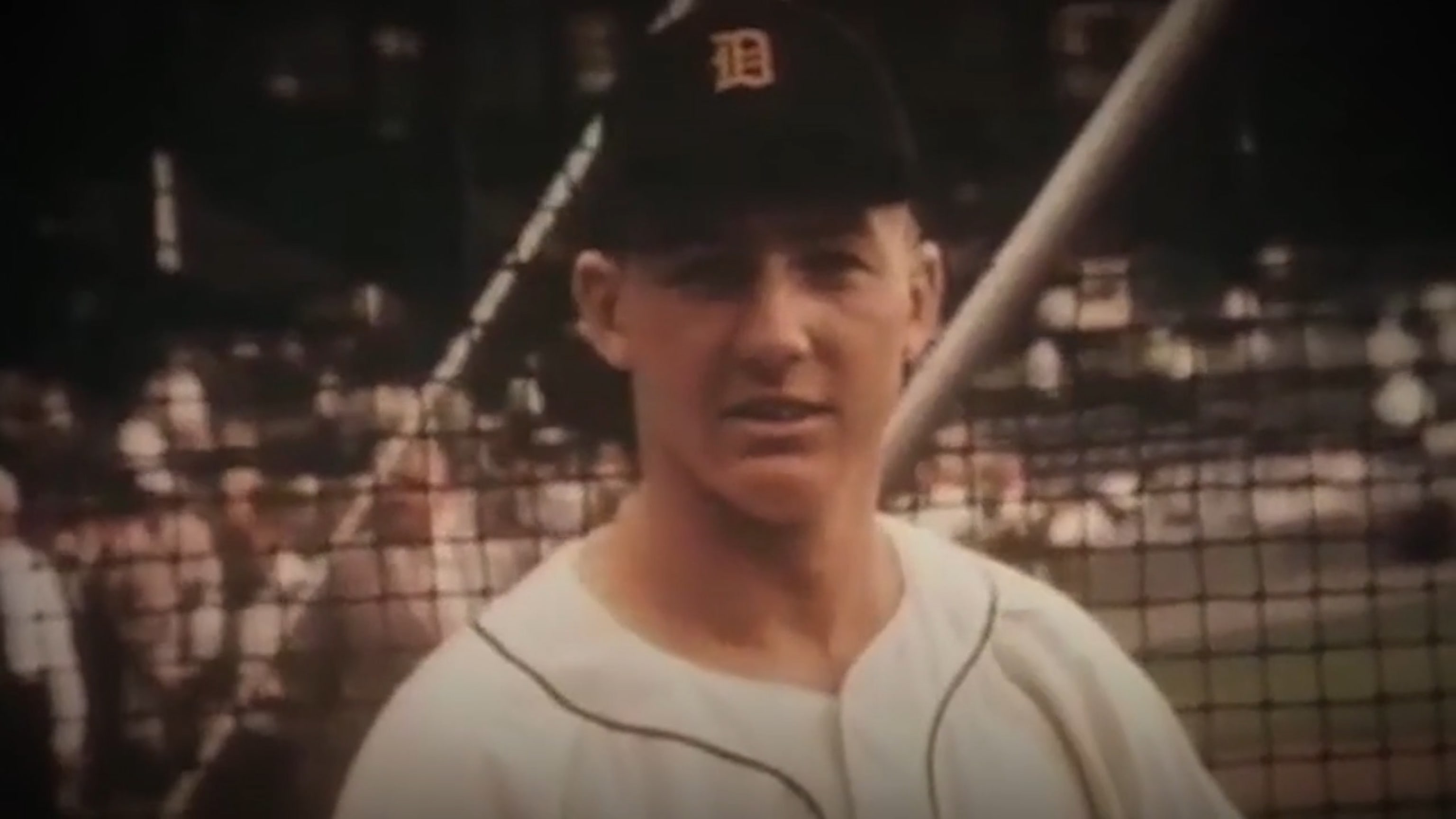 Thank You, Mr. Tiger