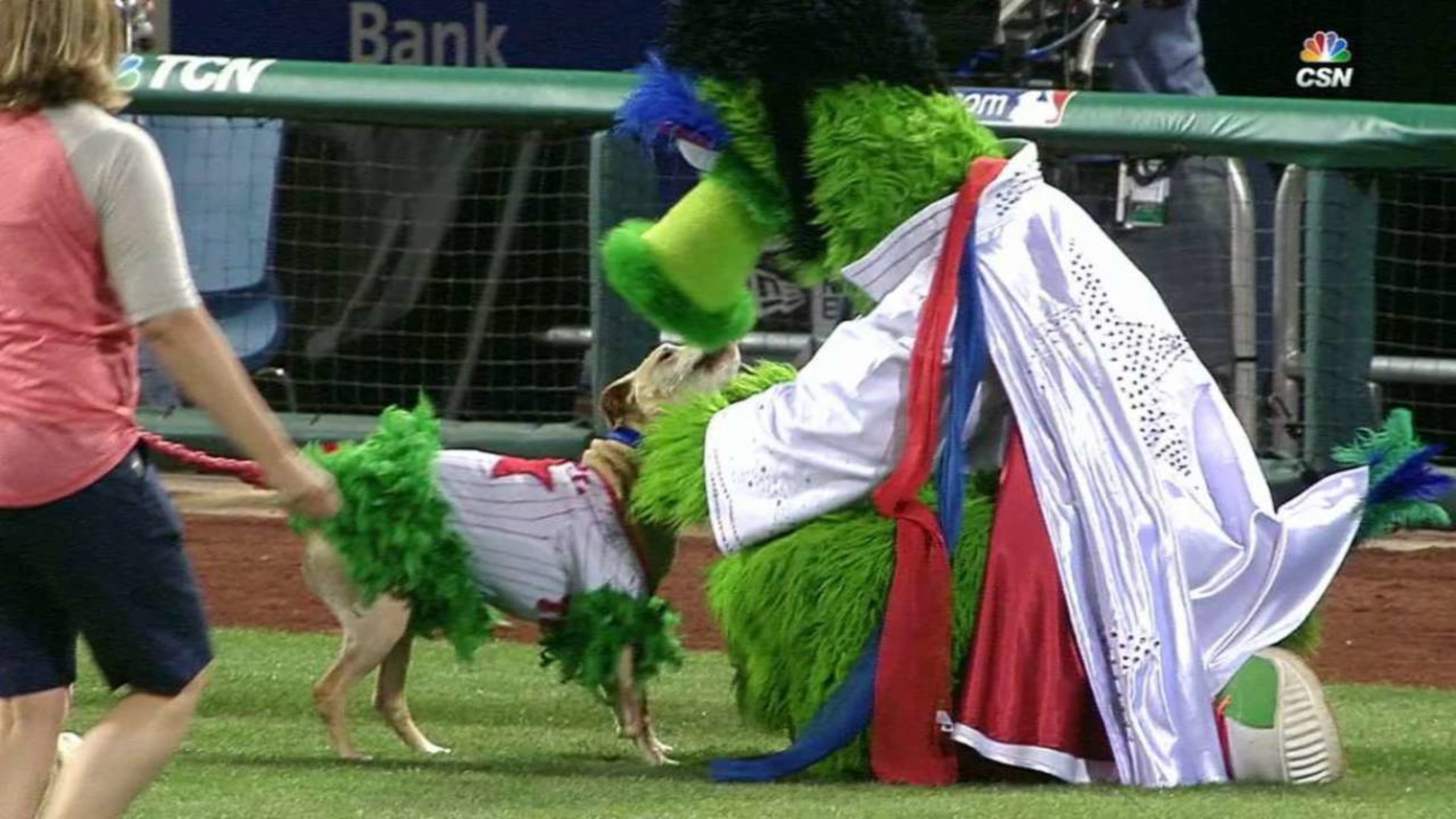 Adorable dog dressed as the Phillie Phanatic makes Phillie Phanatic do  adorable things
