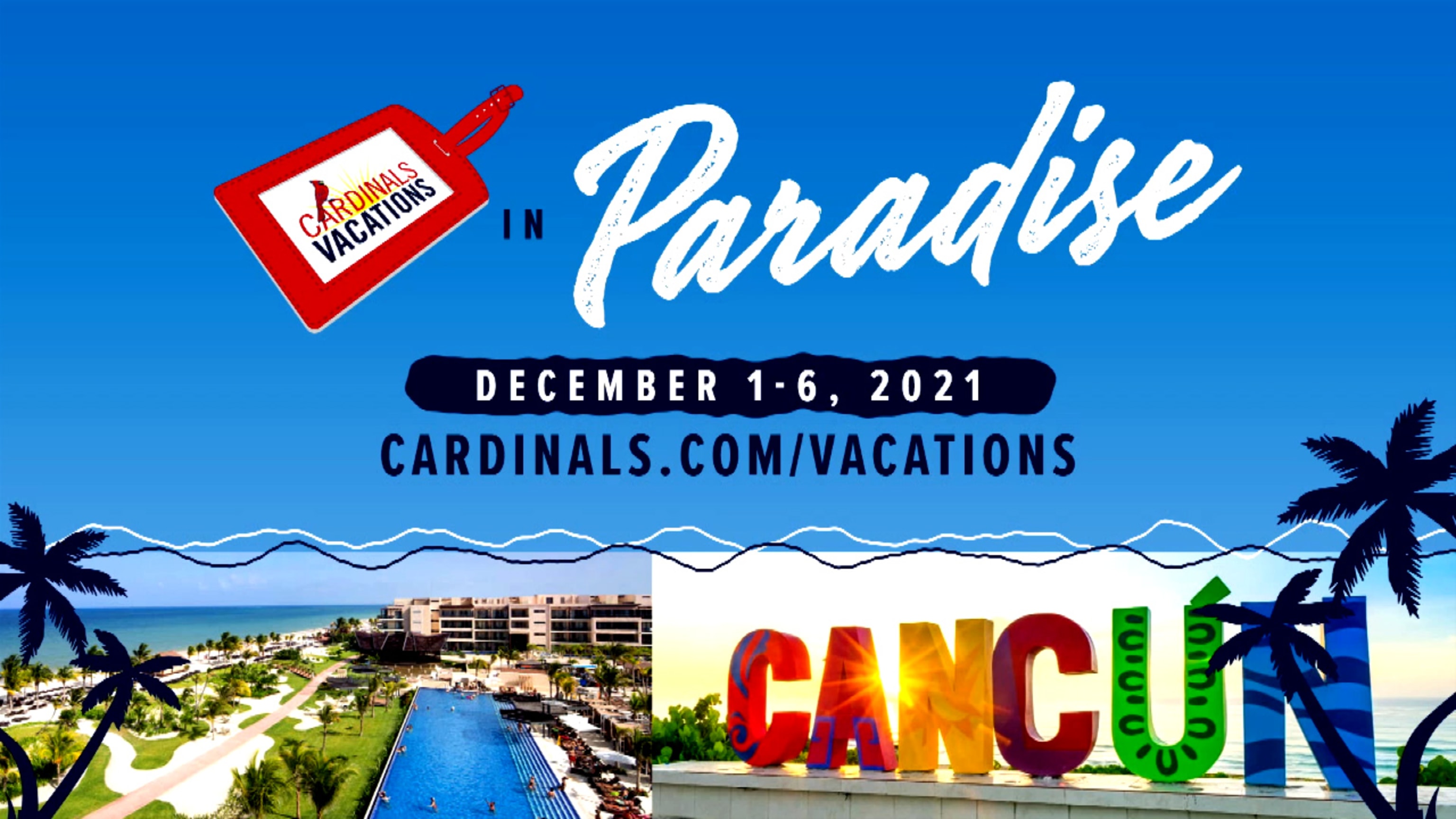 cardinals vacation in paradise st louis cardinals