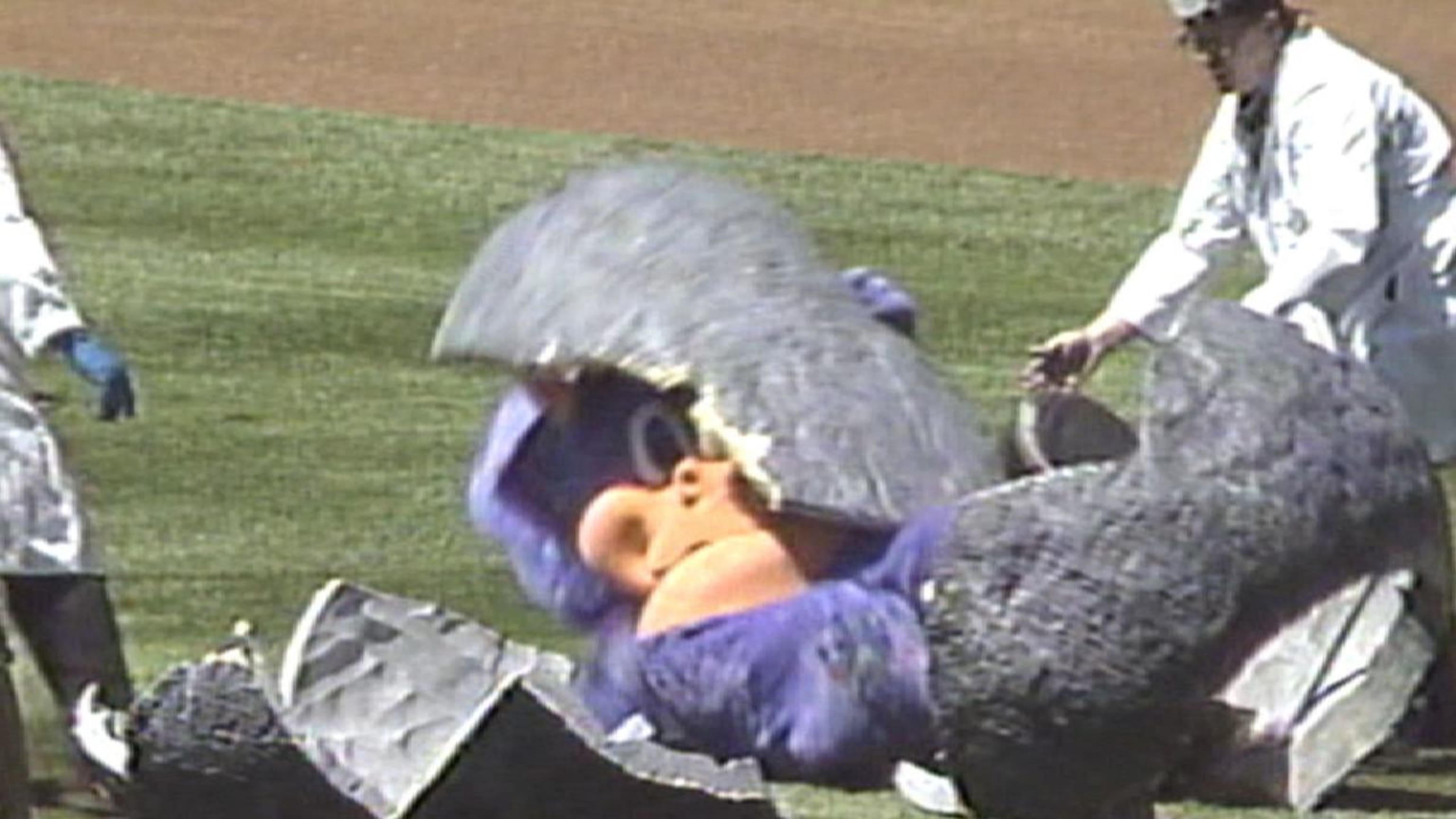 The Rockies introduced Dinger into the world out of an enormous dinosaur  egg