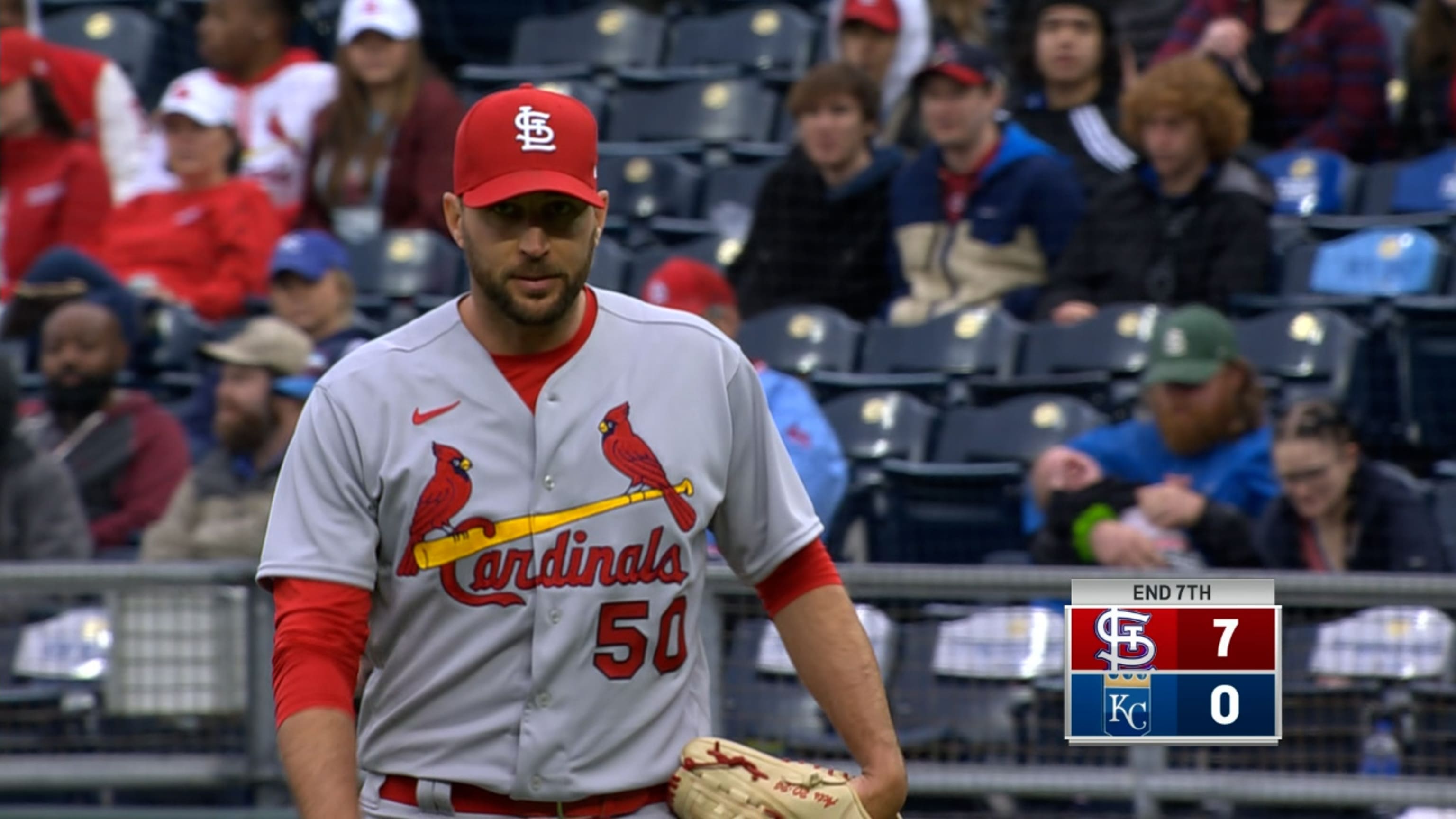 Cardinals celebrate Adam Wainwright as his incredible career in St. Louis  comes to an end