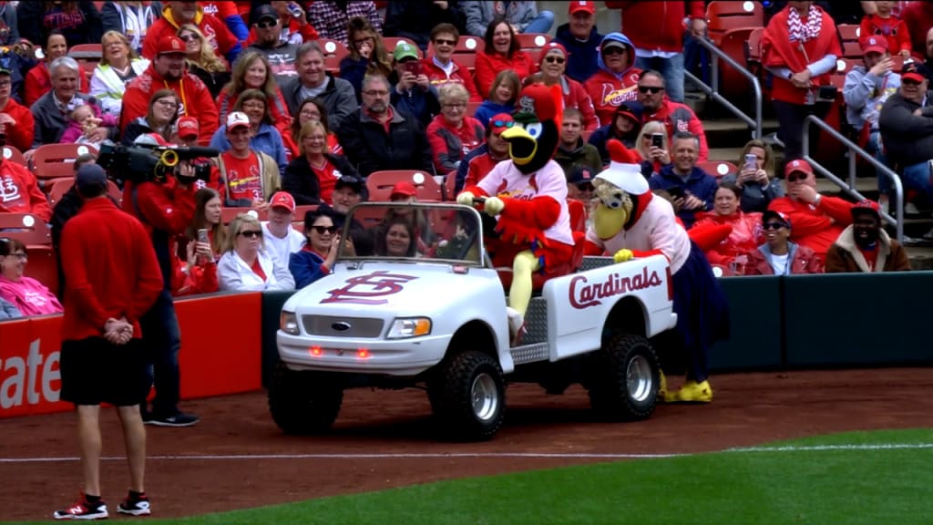 Best of 2021: Fredbird  St. Louis Cardinals 