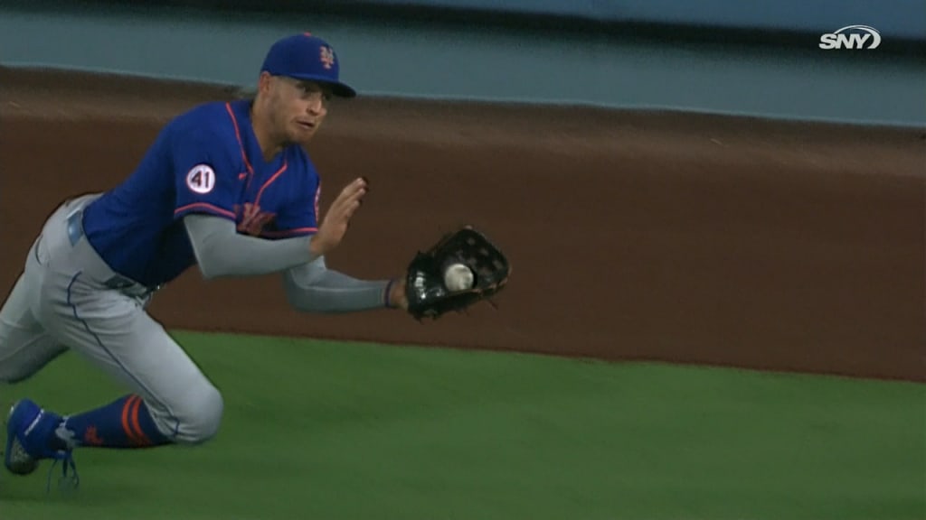 Brandon Nimmo Makes CATCH OF THE YEAR! 