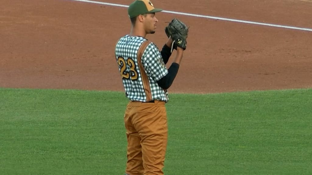 Wisconsin Timber Rattlers on X: Wisconsin Brats Jersey Auction is