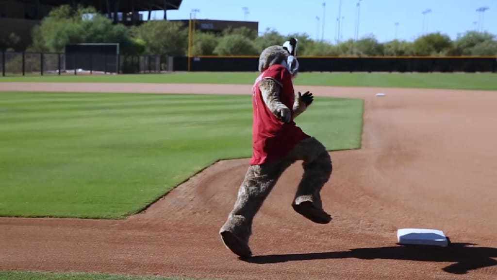 The Science of Baseball