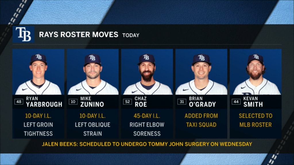 Tampa bay rays roster 2020 new arrivals