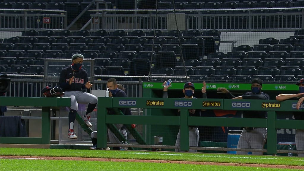 Dugout baseball sales