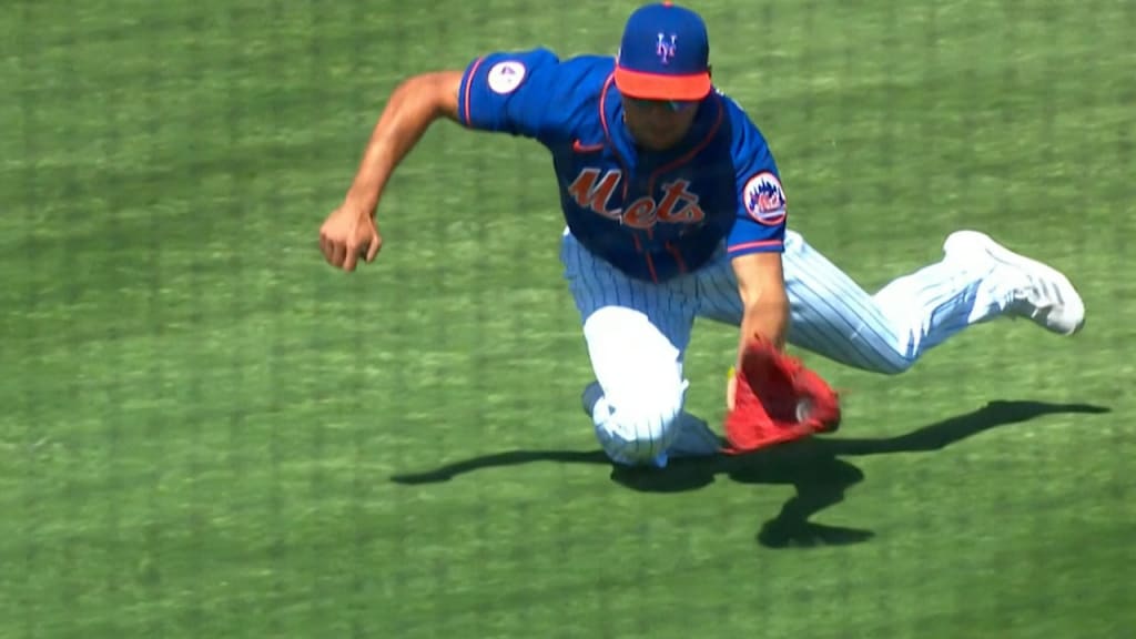 Albert Almora Jr.'s diving catch, 03/09/2021