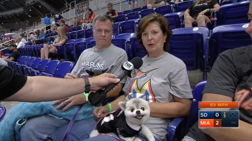 Photos: Phillies at Mariners on Bark at the Park Night