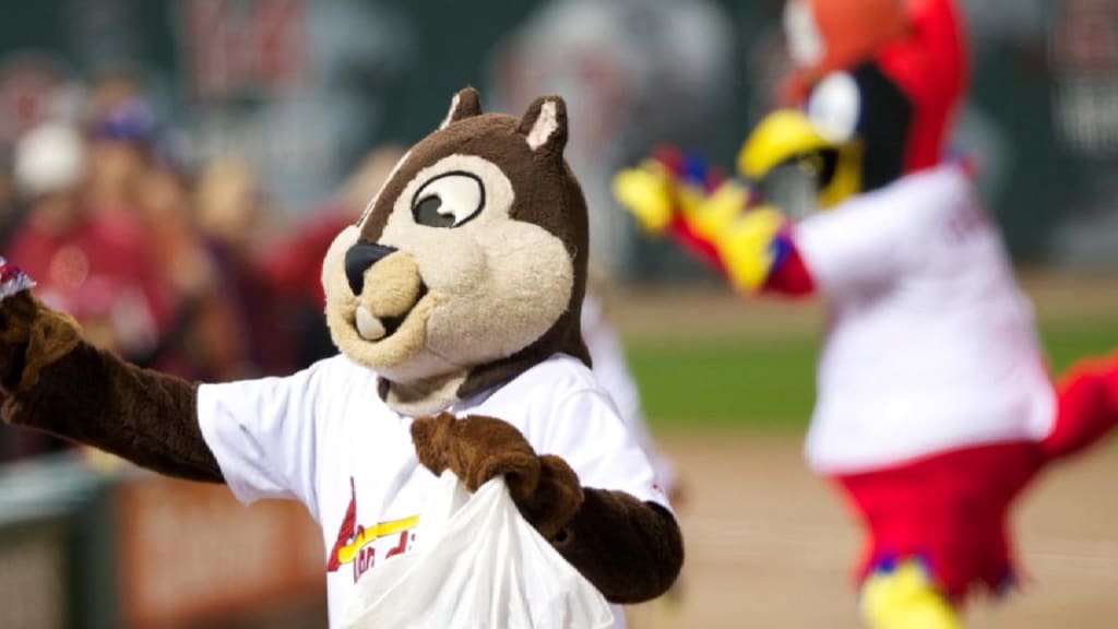 Rally Squirrel Stikes Again! …on the Cardinal's World Series Rings