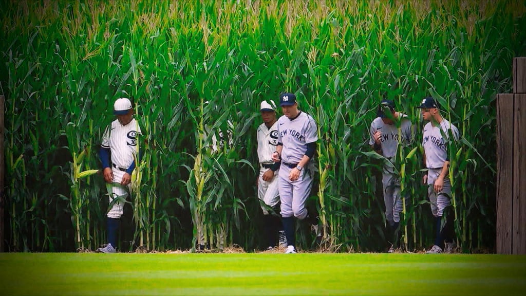 Mlb field of dreams deals